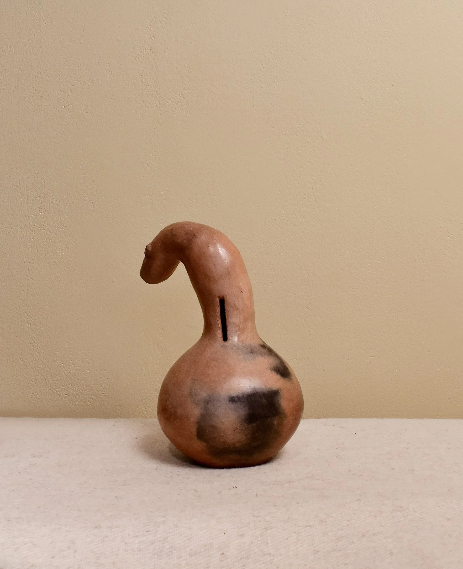 Barro-Snake-2.jpg