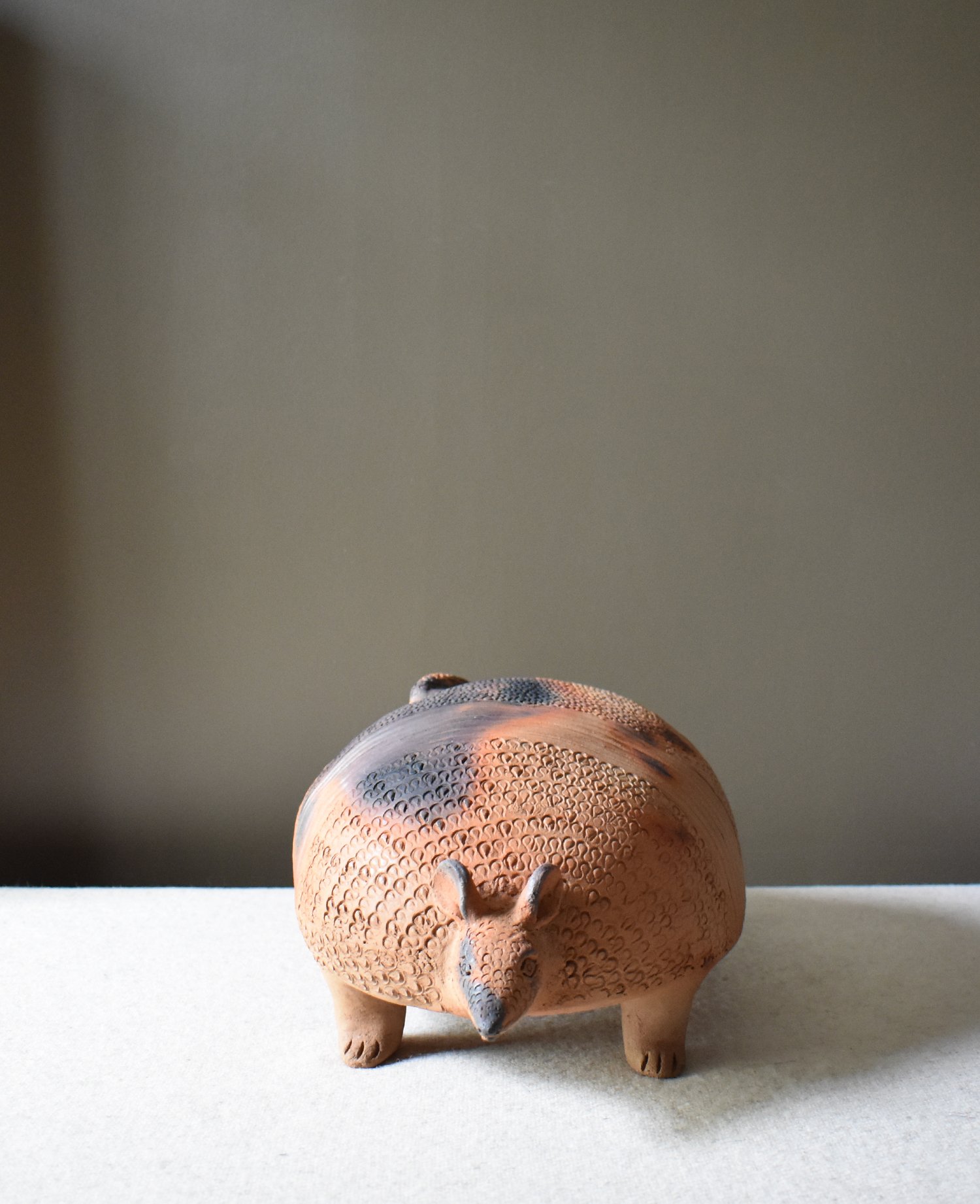 Armadillo-1.jpg