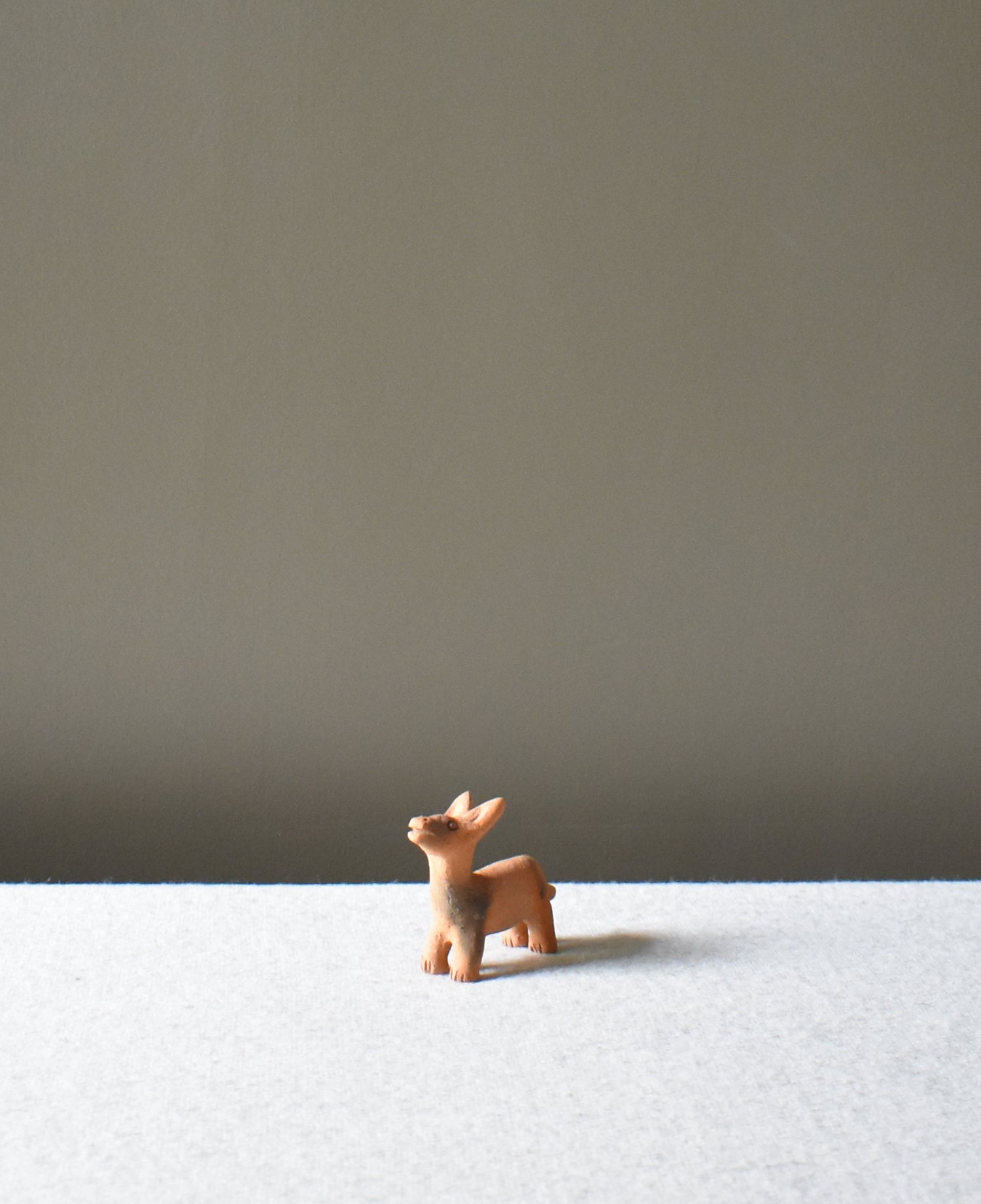 Burro-Pequeno-4.jpg