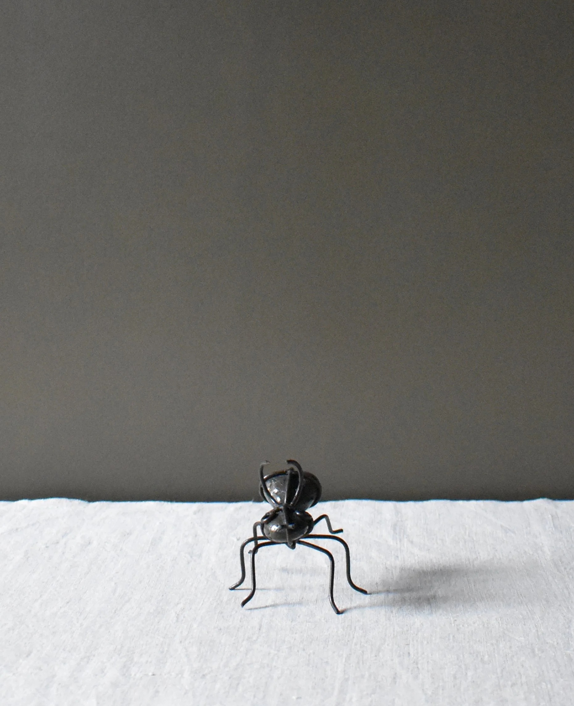 stone-ant3.jpg