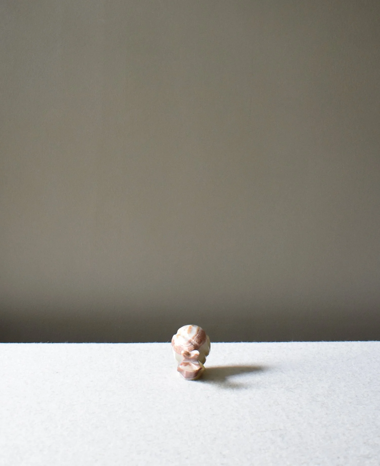 Onyx-Snail-2.jpg