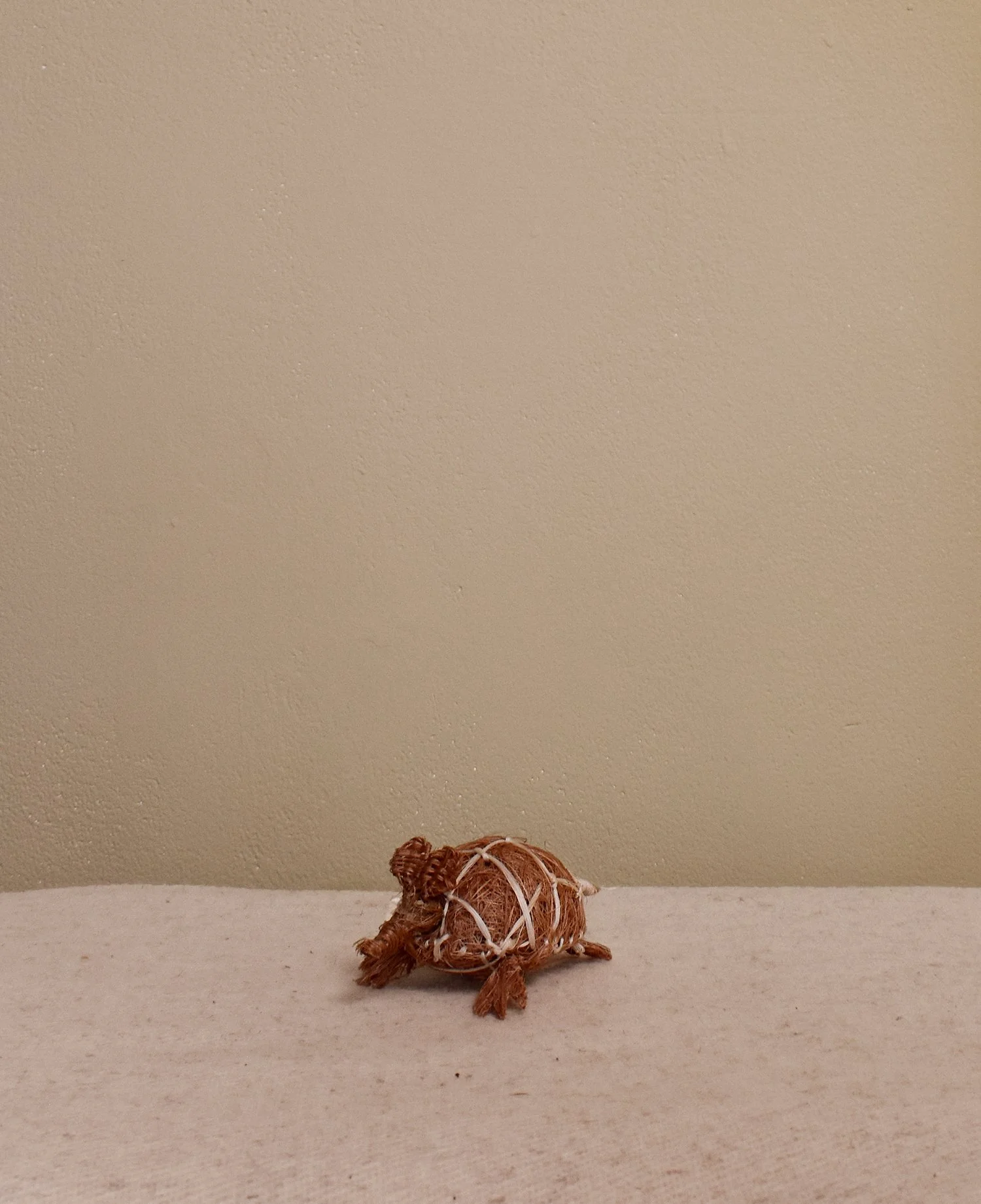 armadillo-2.jpg