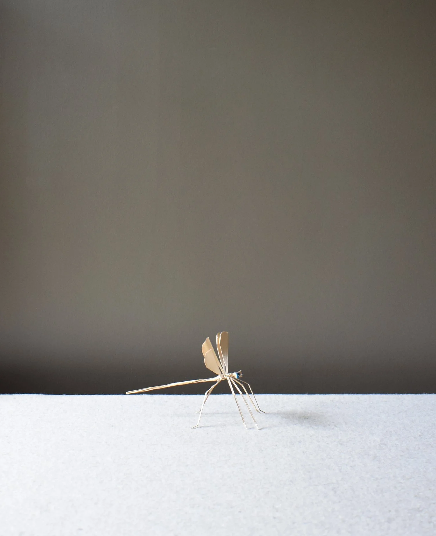 Corn-Leaf-Dragonfly-1.jpg