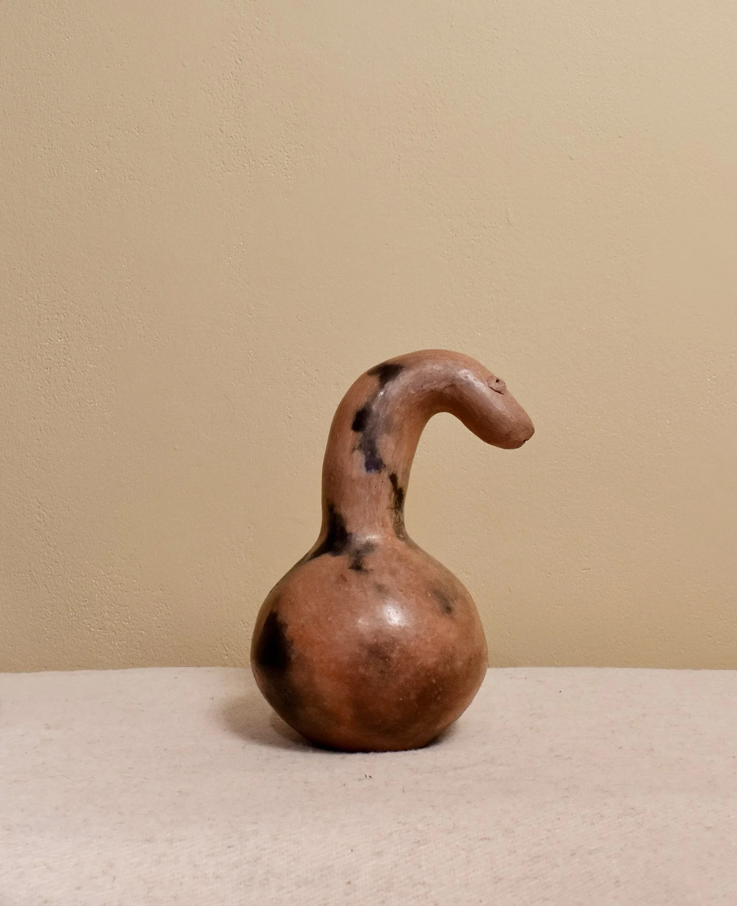 Barro-Snake-1.jpg