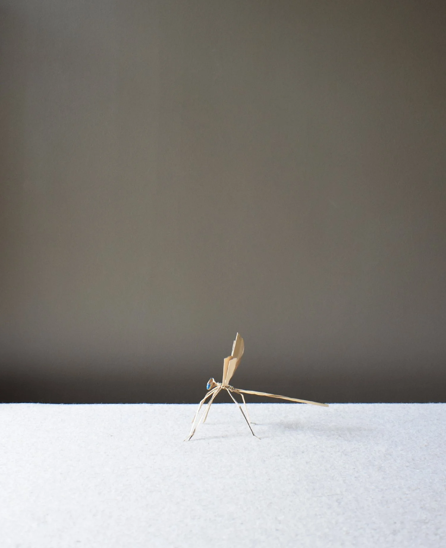 Corn-Leaf-Dragonfly-3.jpg
