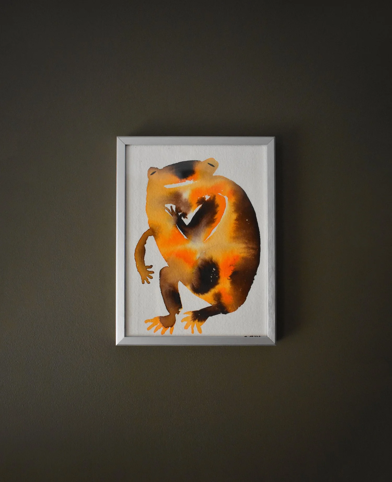 Orange Toad