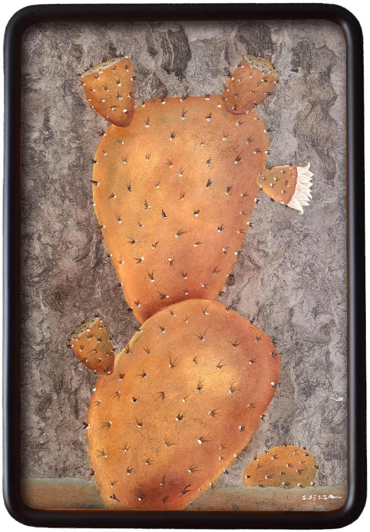 Cactus-Amate.png