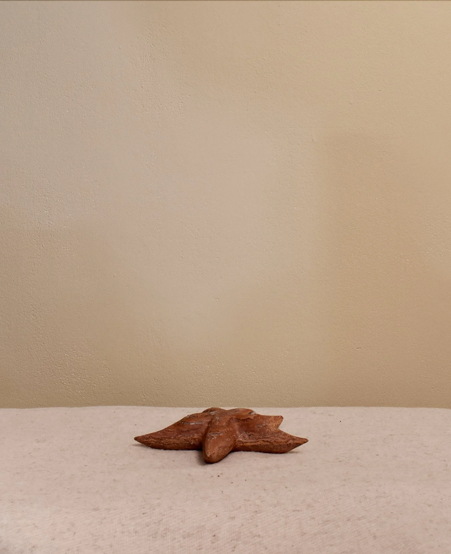 onyx-starfish-2.jpg