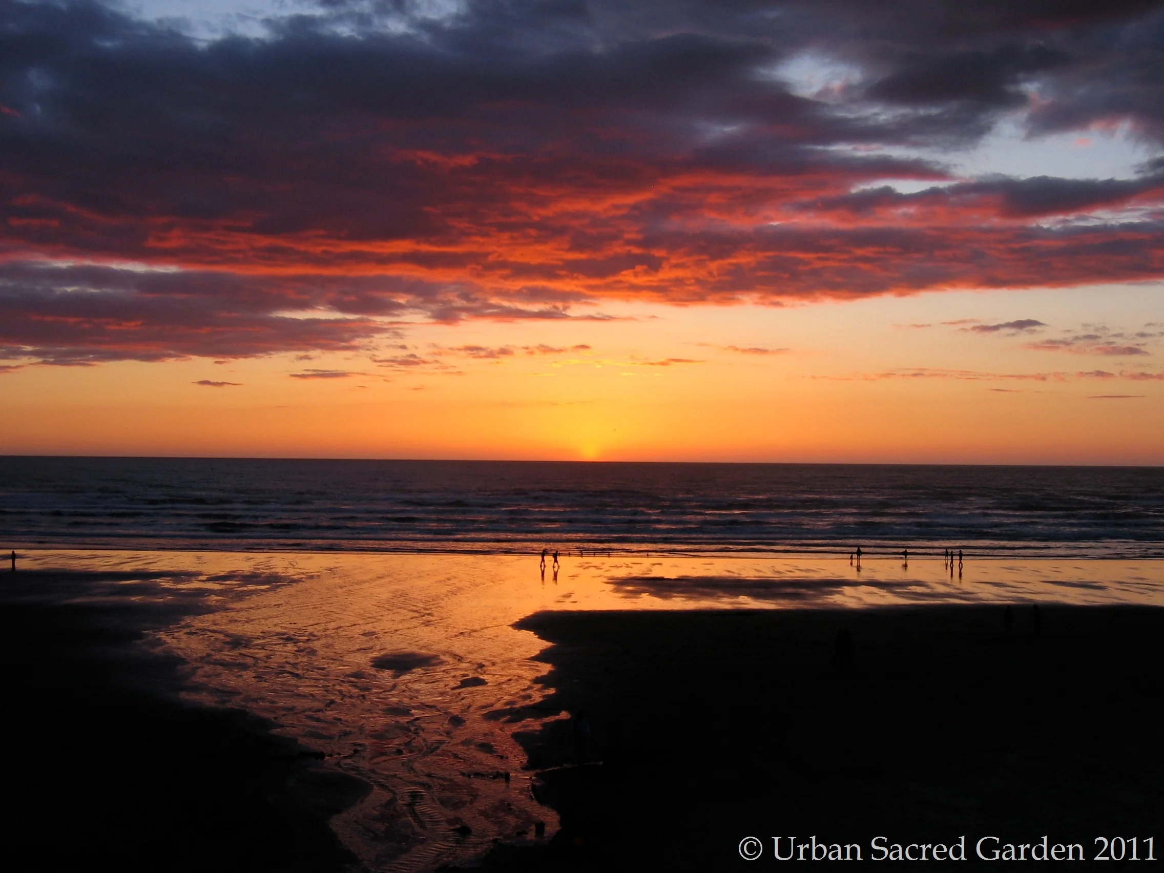 Practicing Forgiveness 