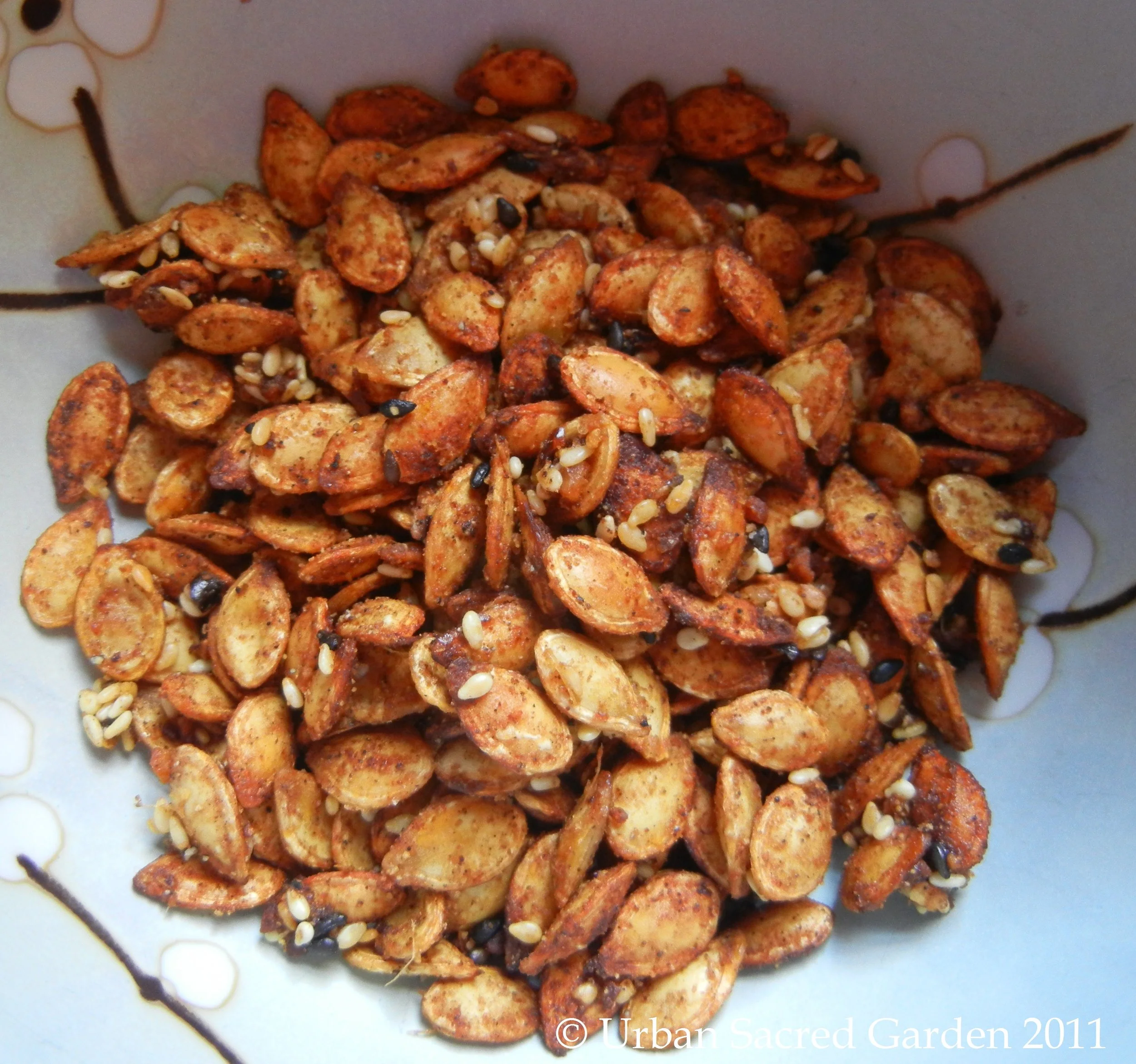 Roasted Butternut Squash Seeds