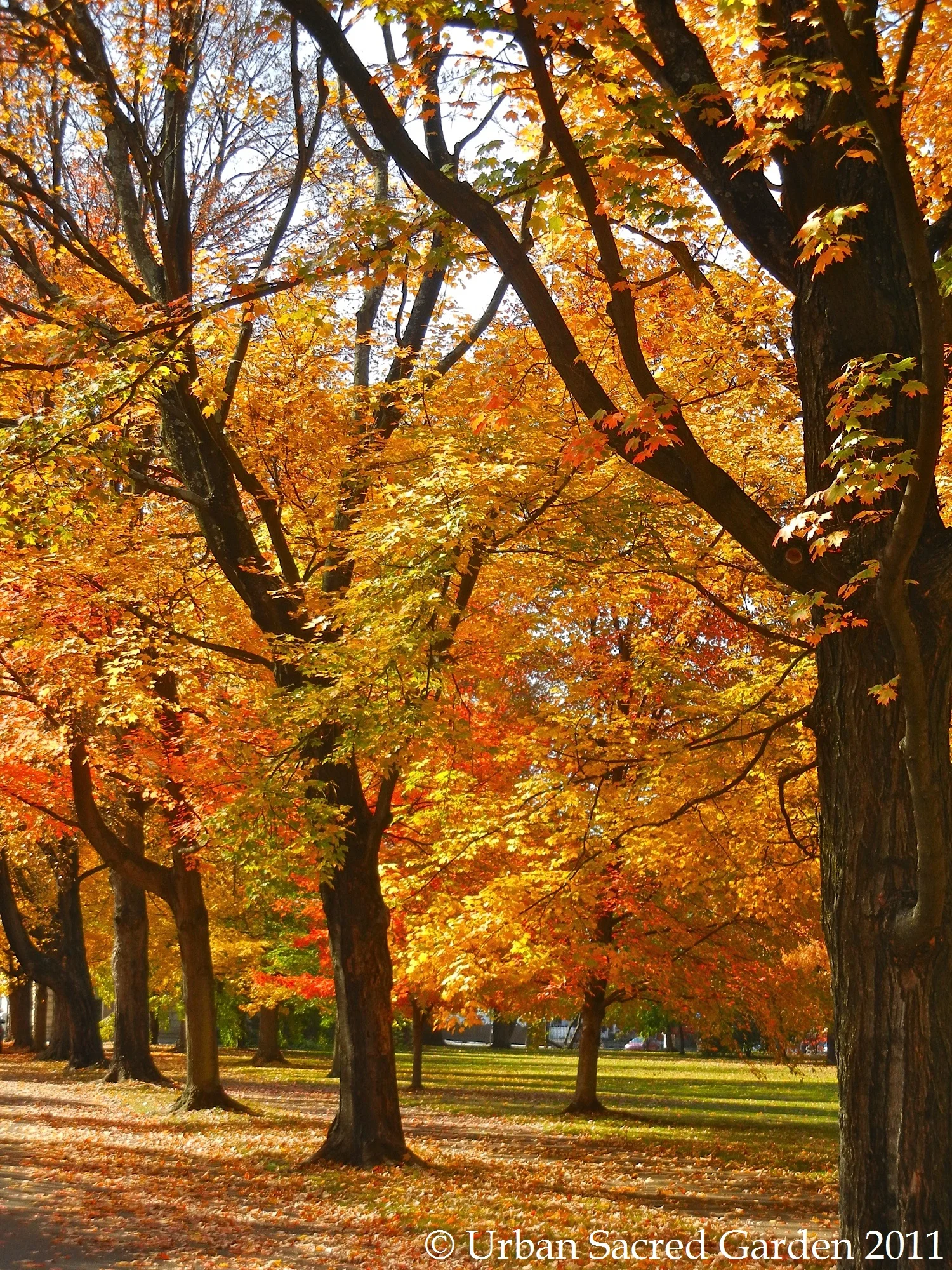 A Little History and a Drive Through Cave Hill Cemetery