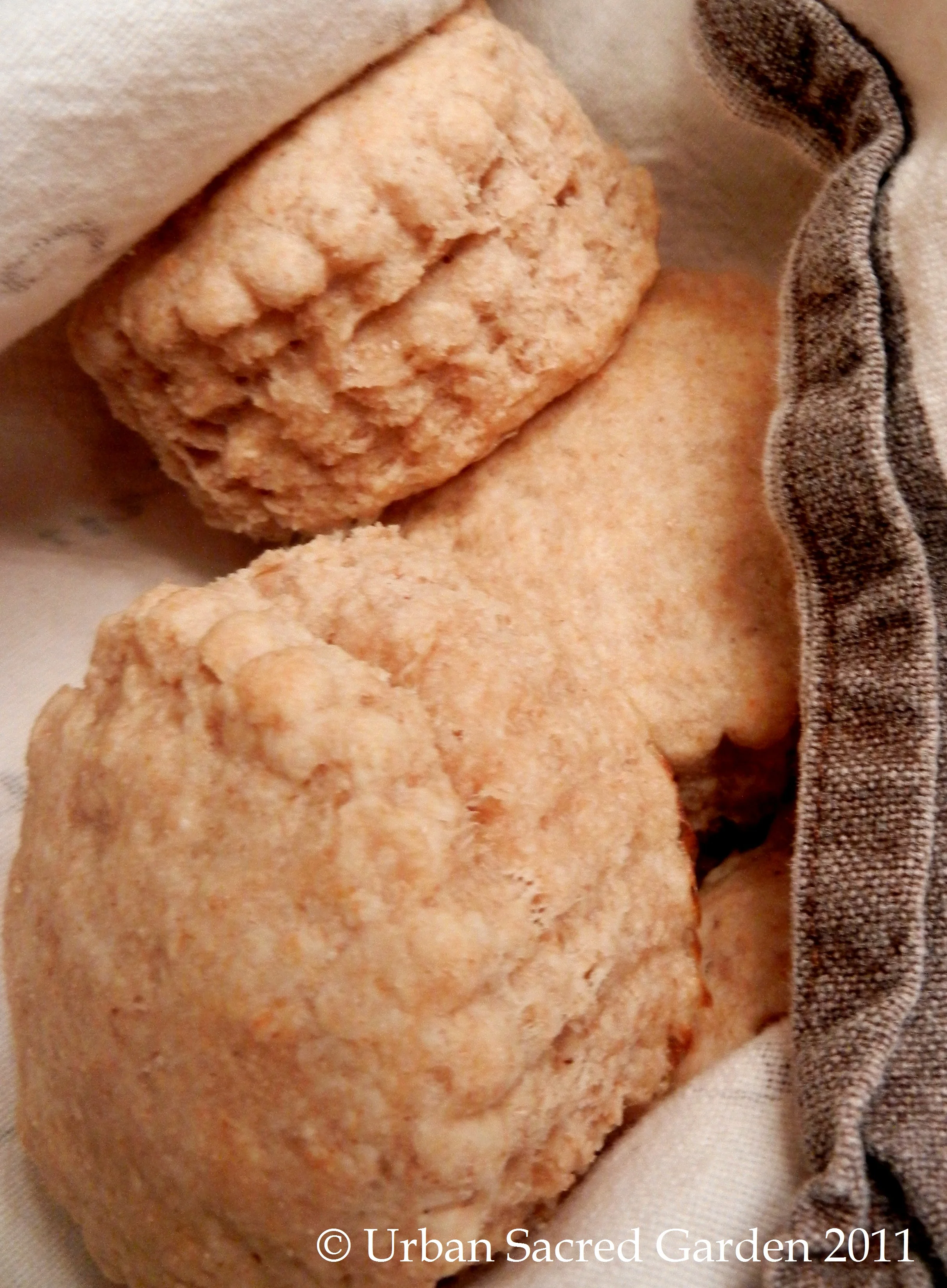 Whole Wheat Soda Biscuits