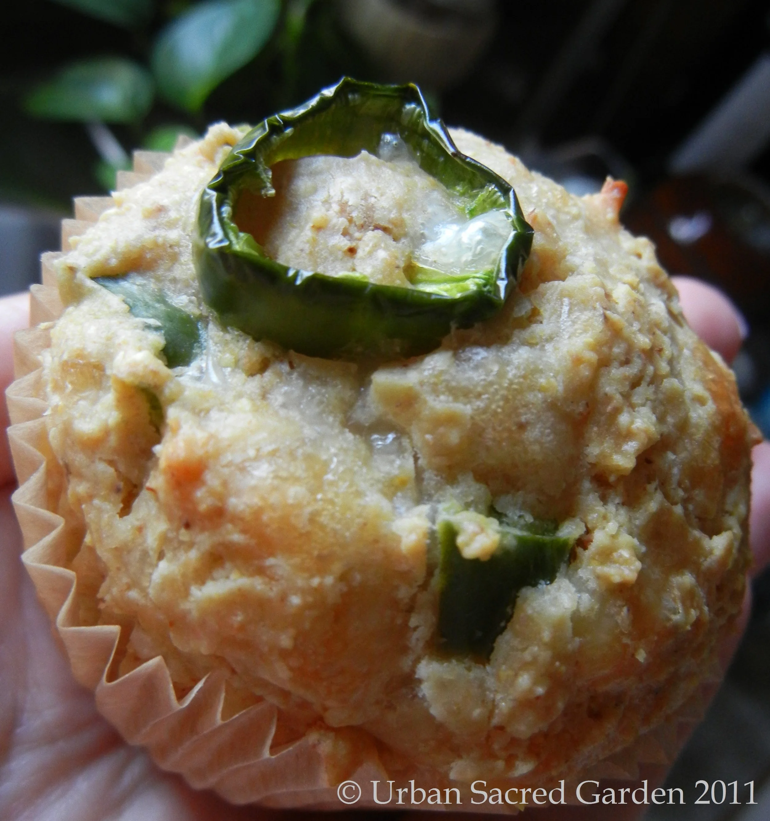 Mild or Hot Buttermilk Cornbread