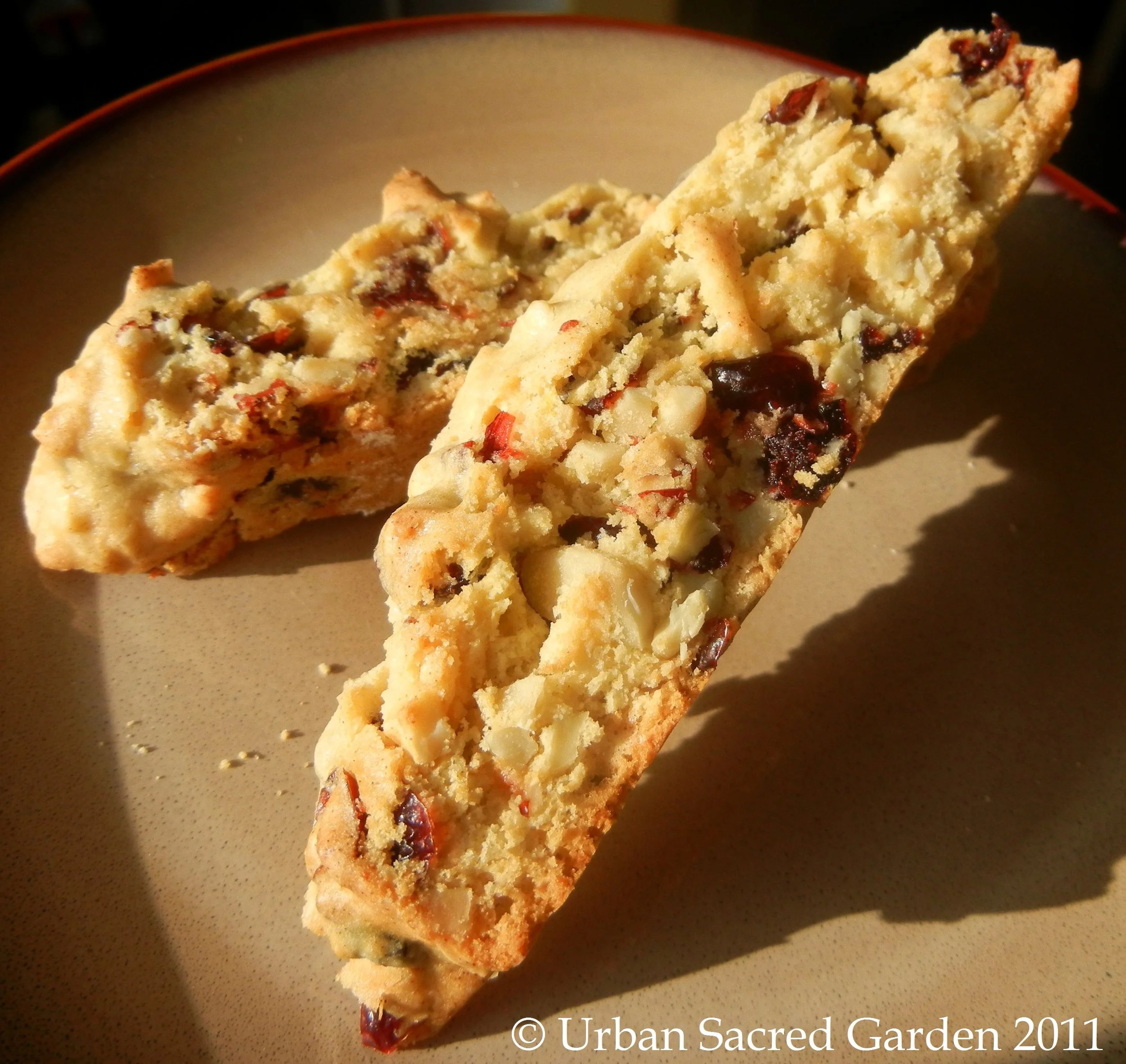 Cranberry Almond Biscotti