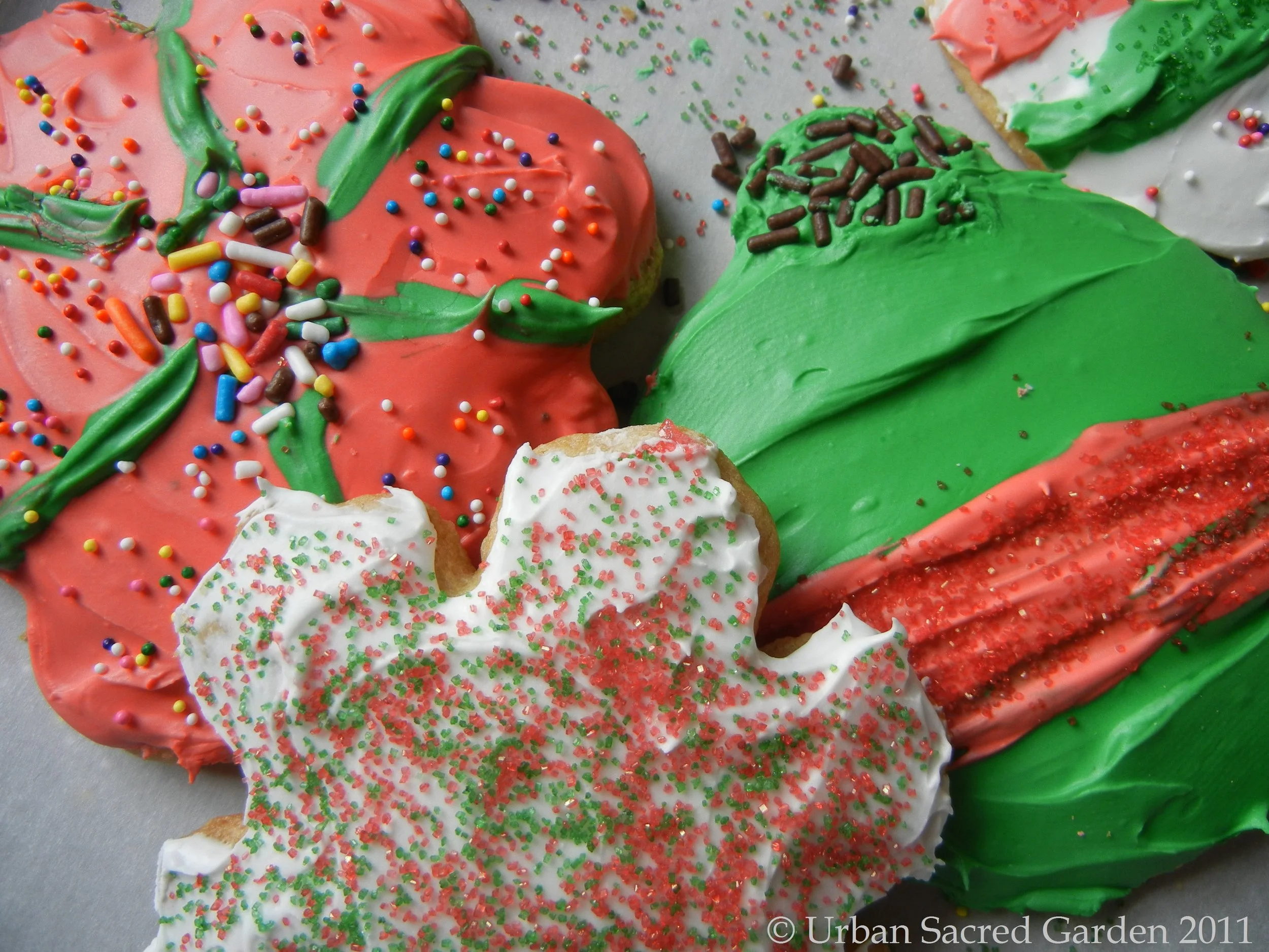 Dinosaur Sugar Cookies, Chocolate Chip Meltdowns, Baking Realities  and Lessons Learned