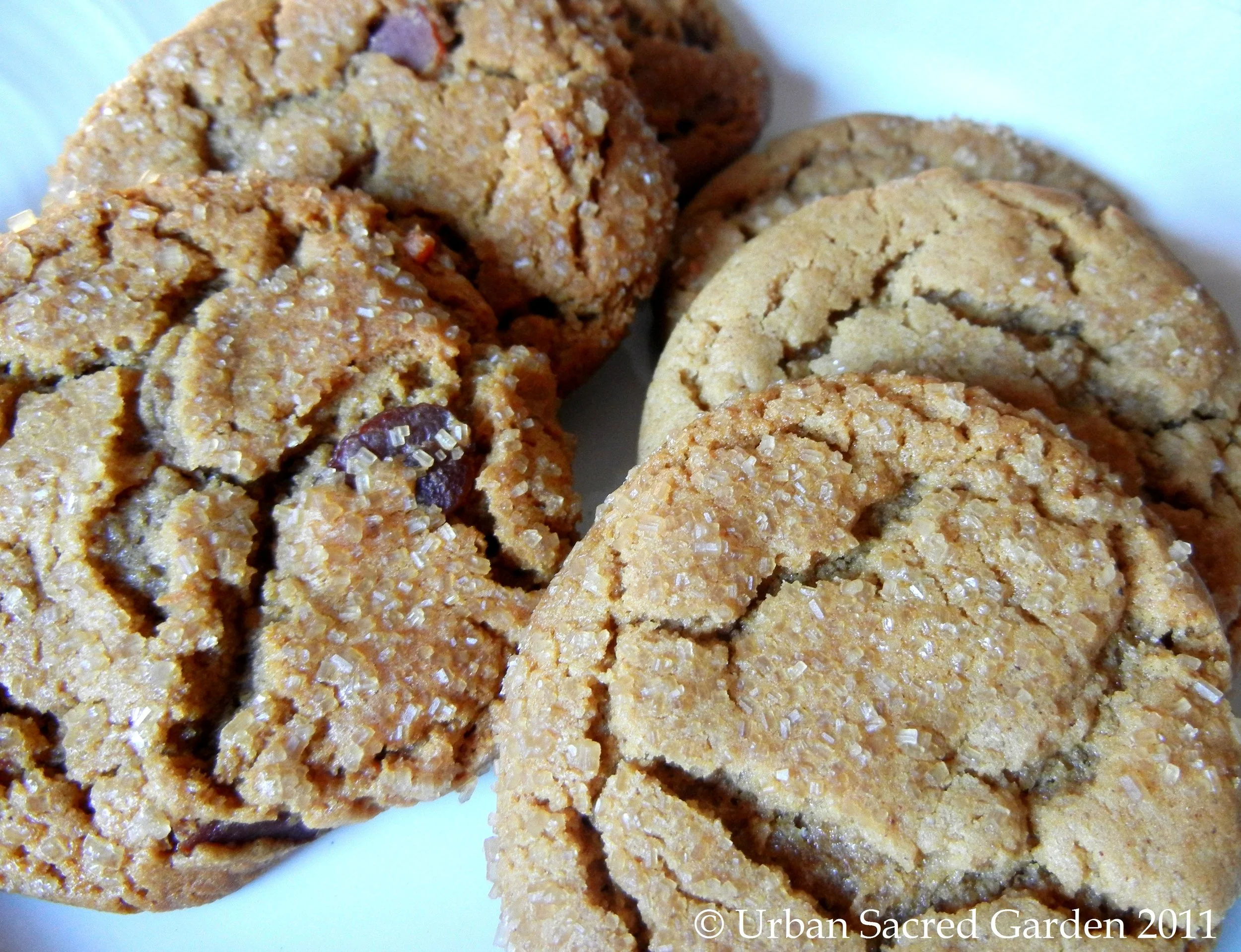 Bacon Molasses Cookies