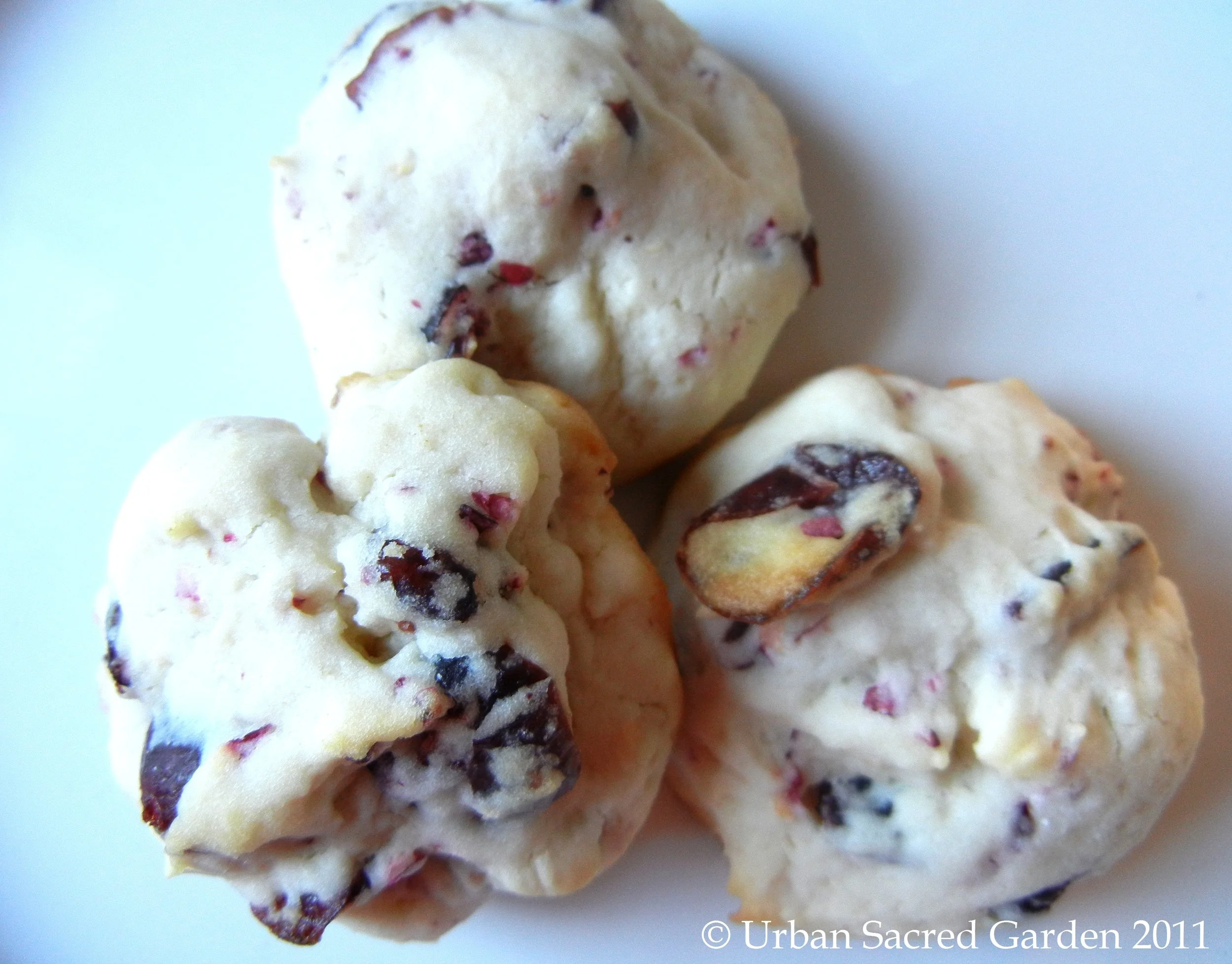 Cranberry Butter Cookies