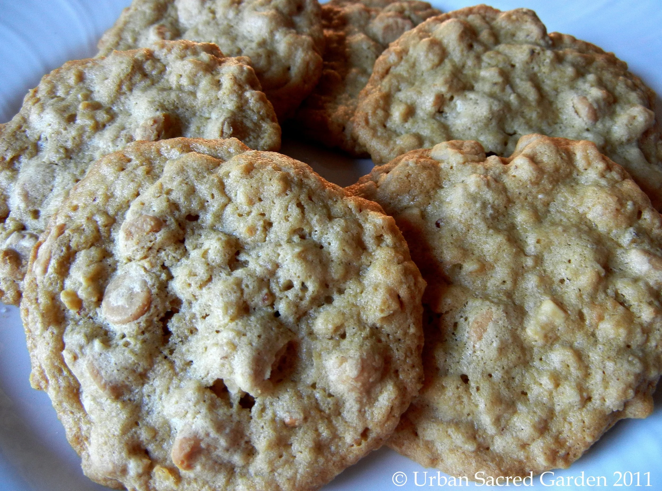 Classic Oatmeal Peanut Butter Cookies