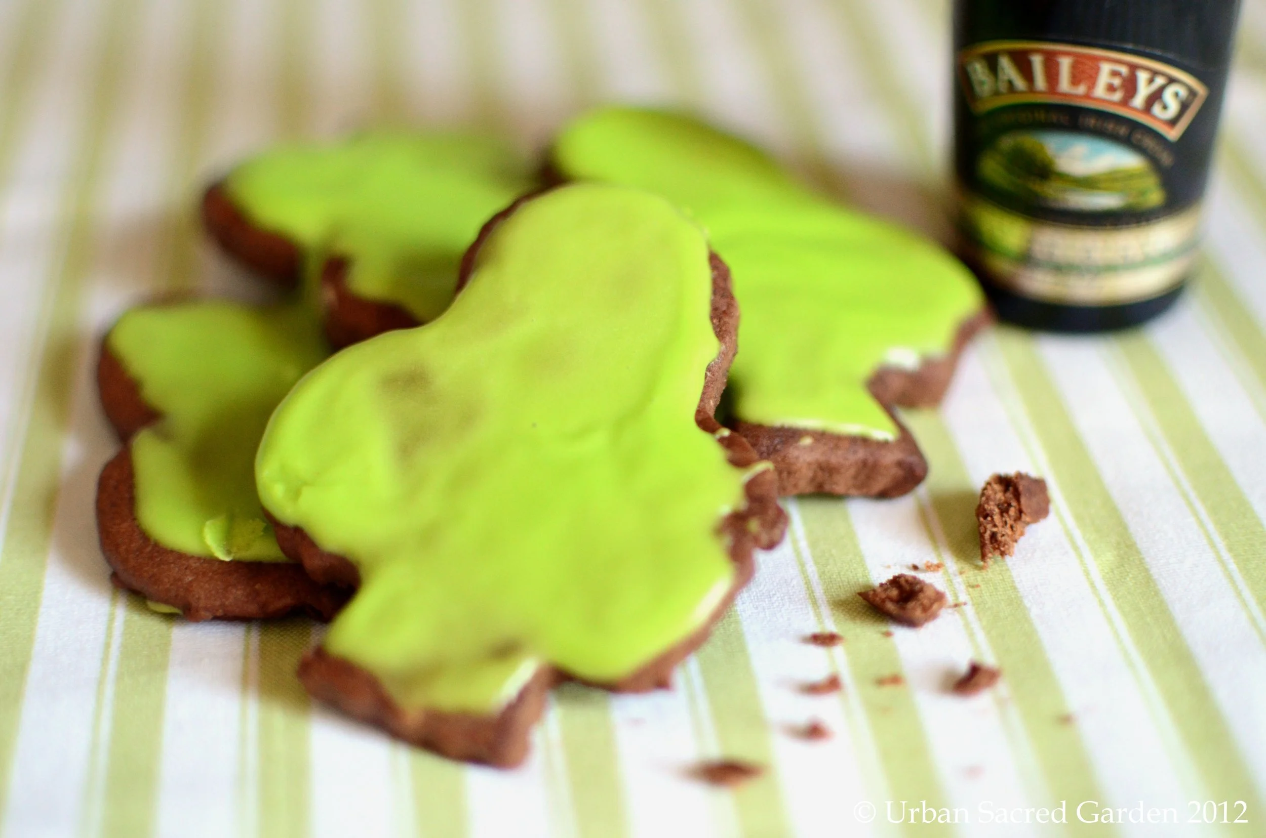 Irish Chocolate Cookies with Baileys Royal Icing