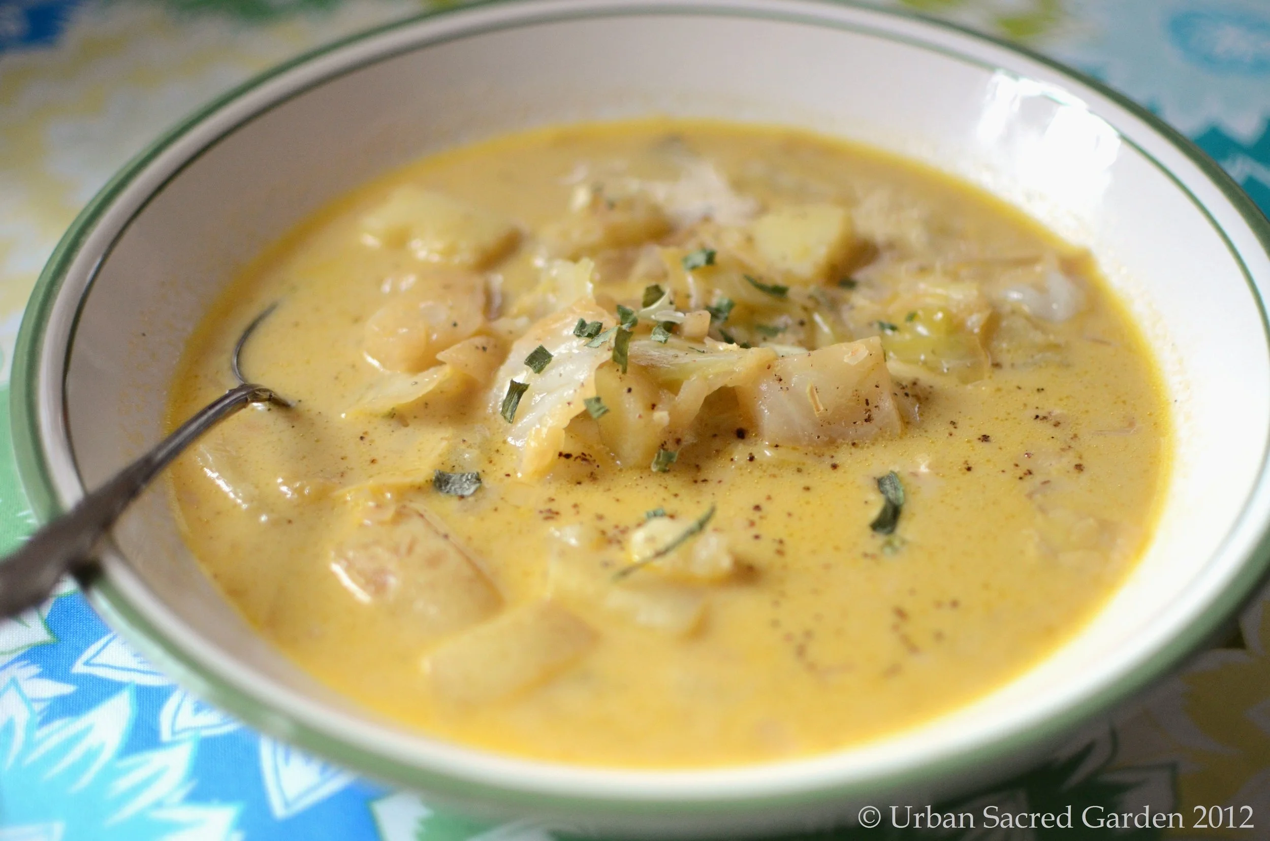 Potato Leek Soup with Beer Braised Cabbage