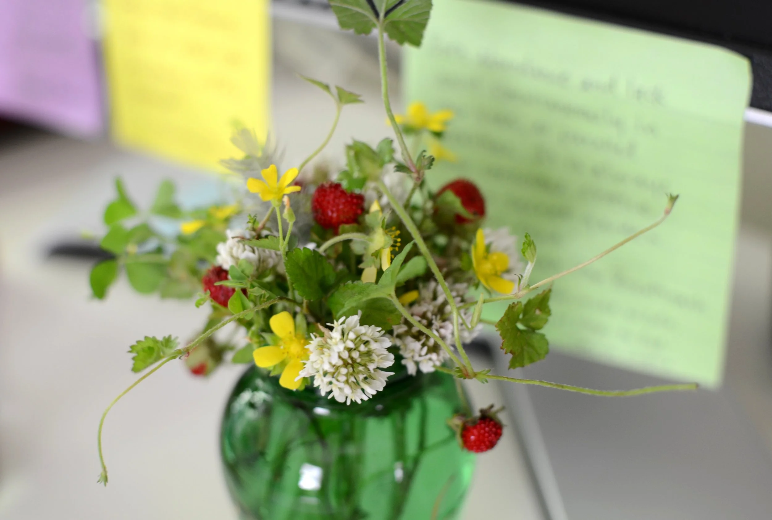 Appreciating the Small Things