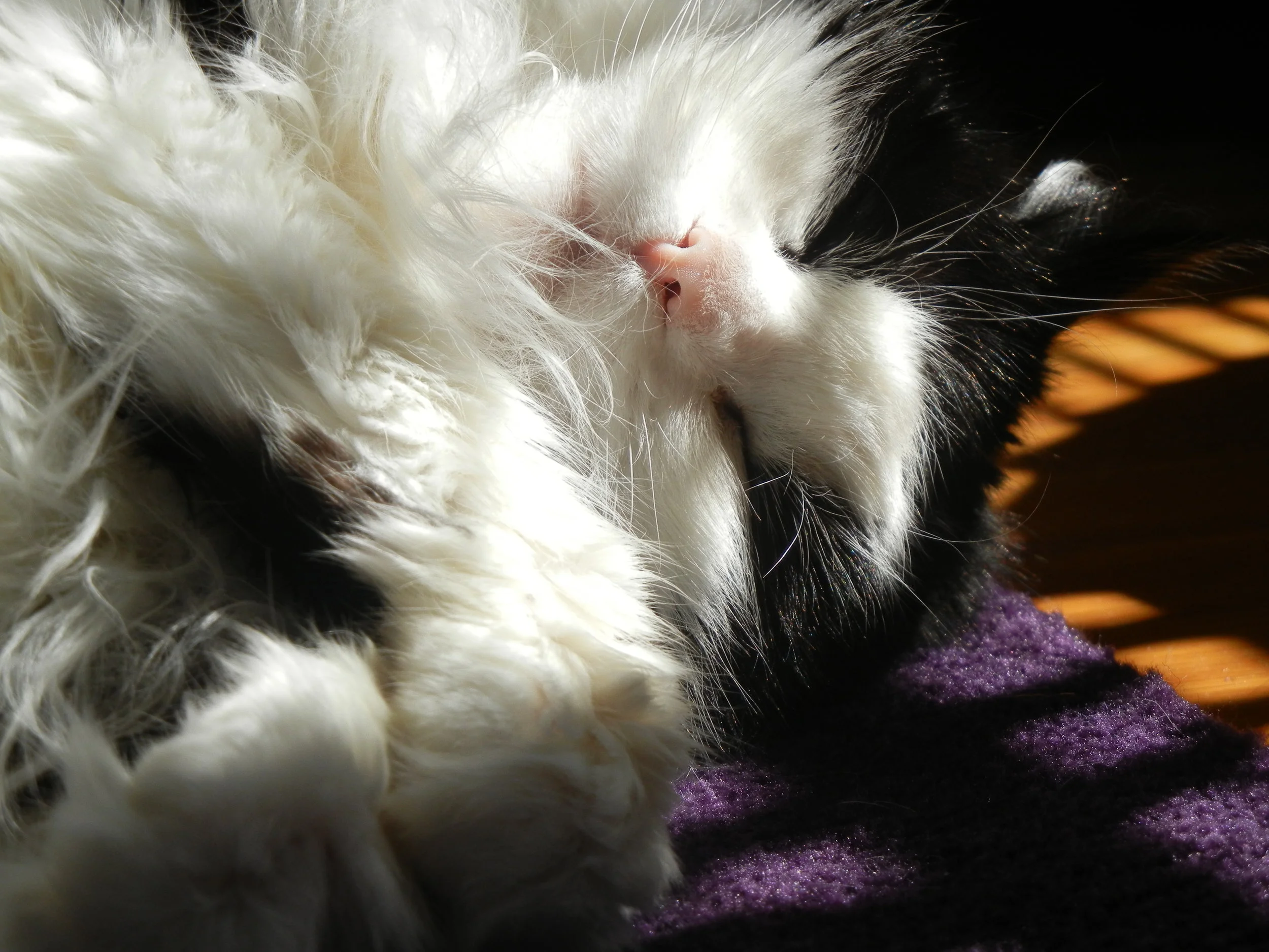 30 Days of Thanksgiving - Day 5