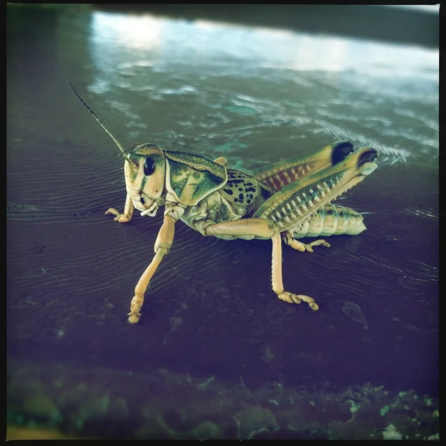 30 Days of Thanksgiving - Days 7 and 8