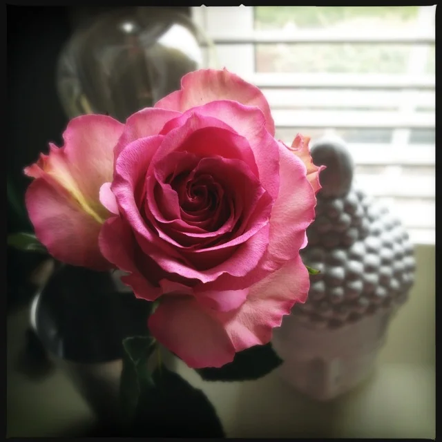 Bringing More Love Into Your Life