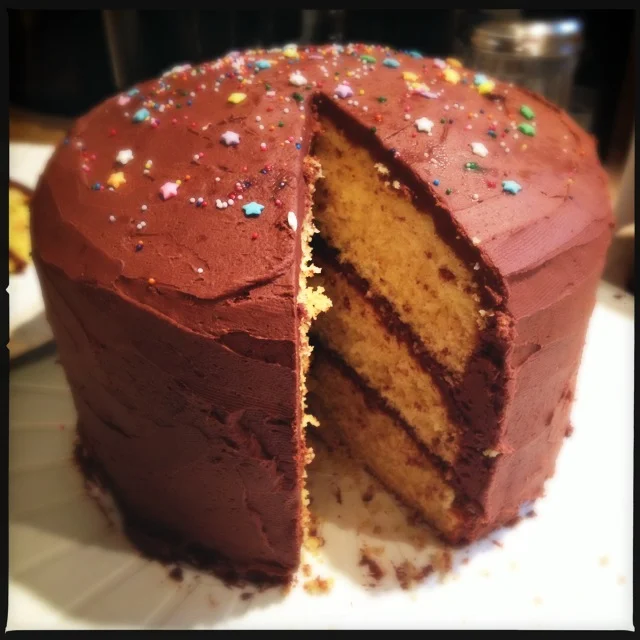 Big Lemony Birthday Cake with Chocolate Buttercream Frosting