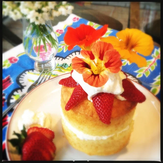 Southern Tres Leches Cake with Fresh Fruit and Whipped Cream