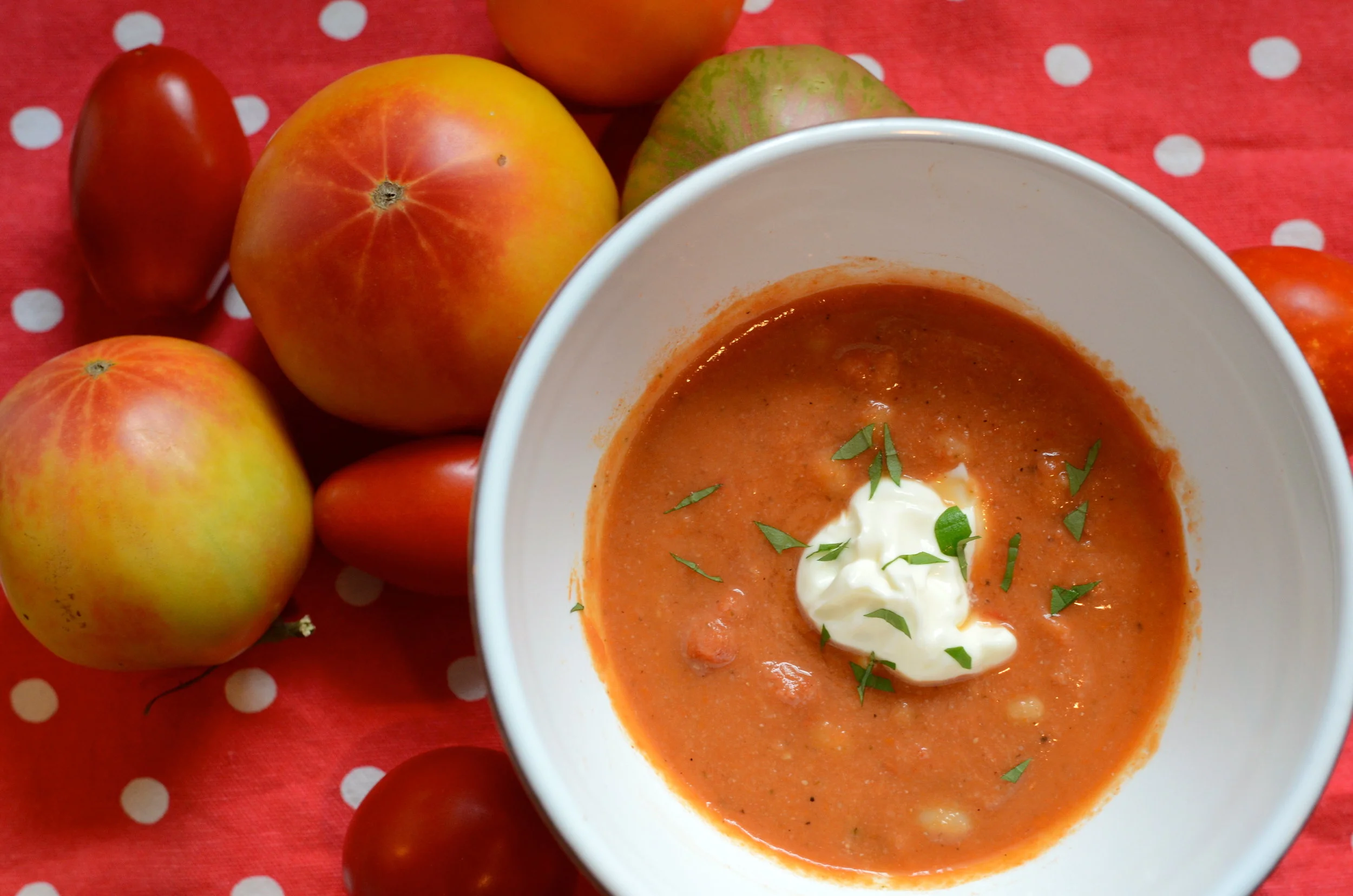 The Great Vegan Bean Book Review and Tomato White Bean Soup