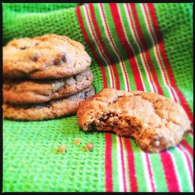 Bourbon Sorghum Pecan Cookies for the Great Food Blogger Cookie Swap #fbcookieswap