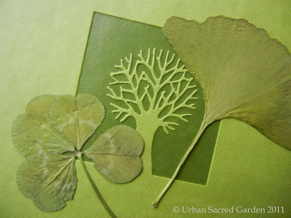 Preserved Moments: Pressing Flowers and Leaves