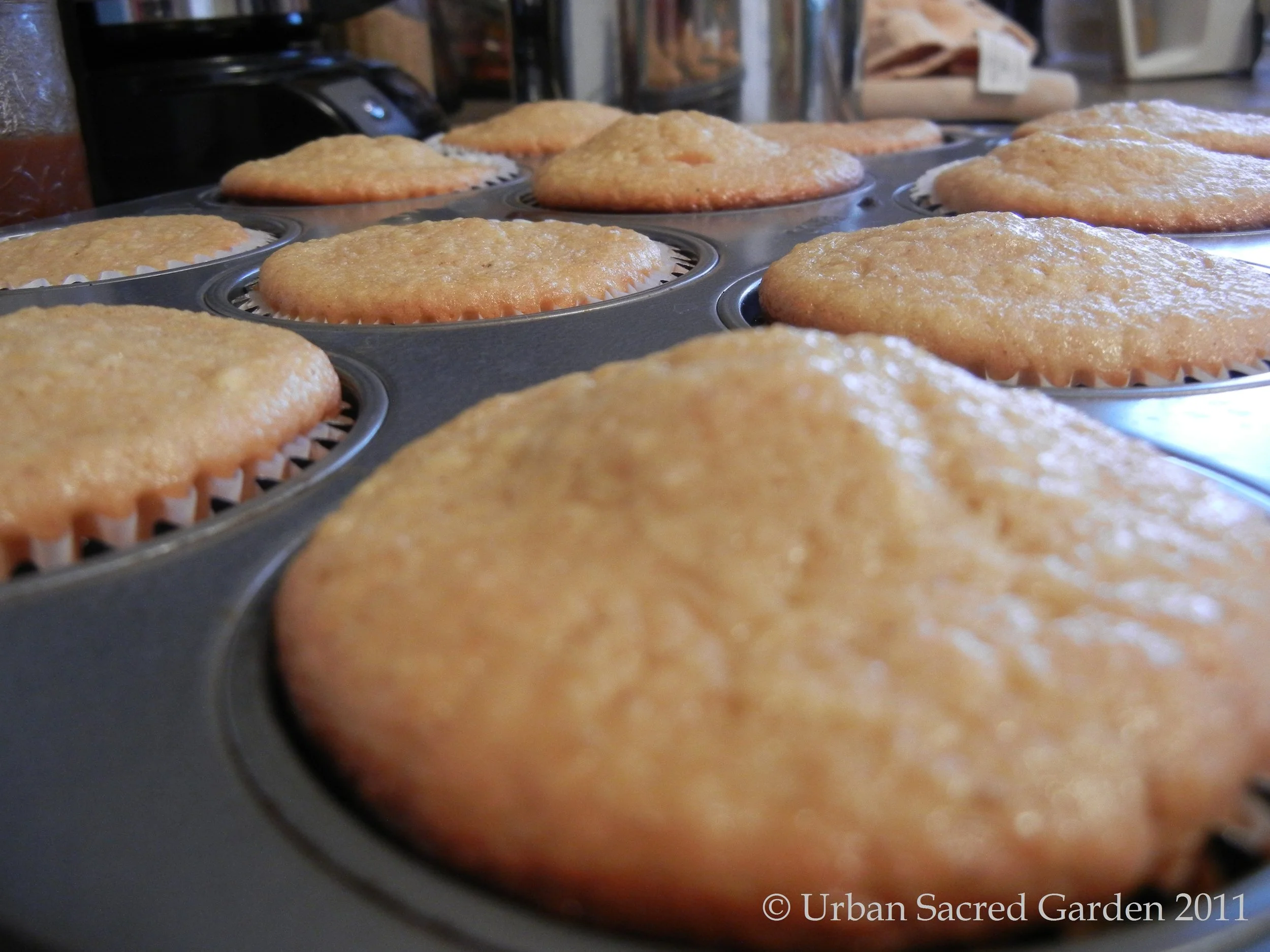 Apple Butter Cupcakes with Brown Sugar Icing