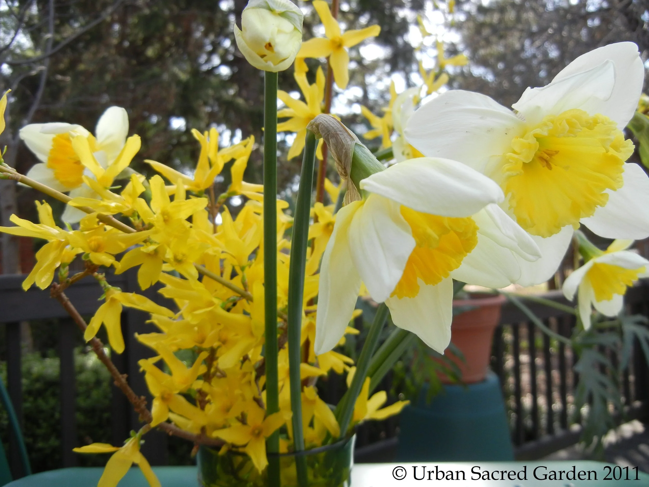 A Prayer in Spring