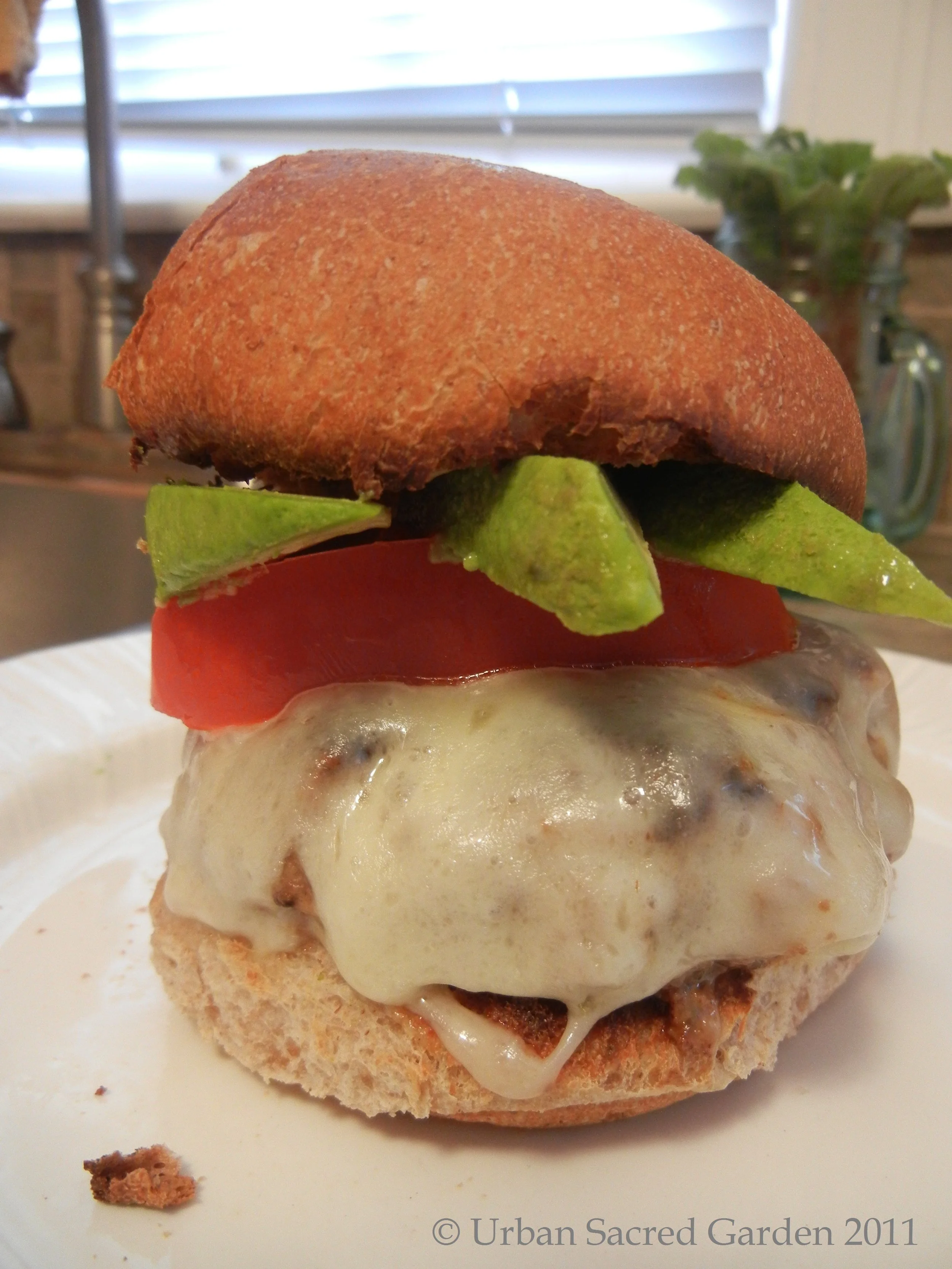 Bison Meatloaf Burgers