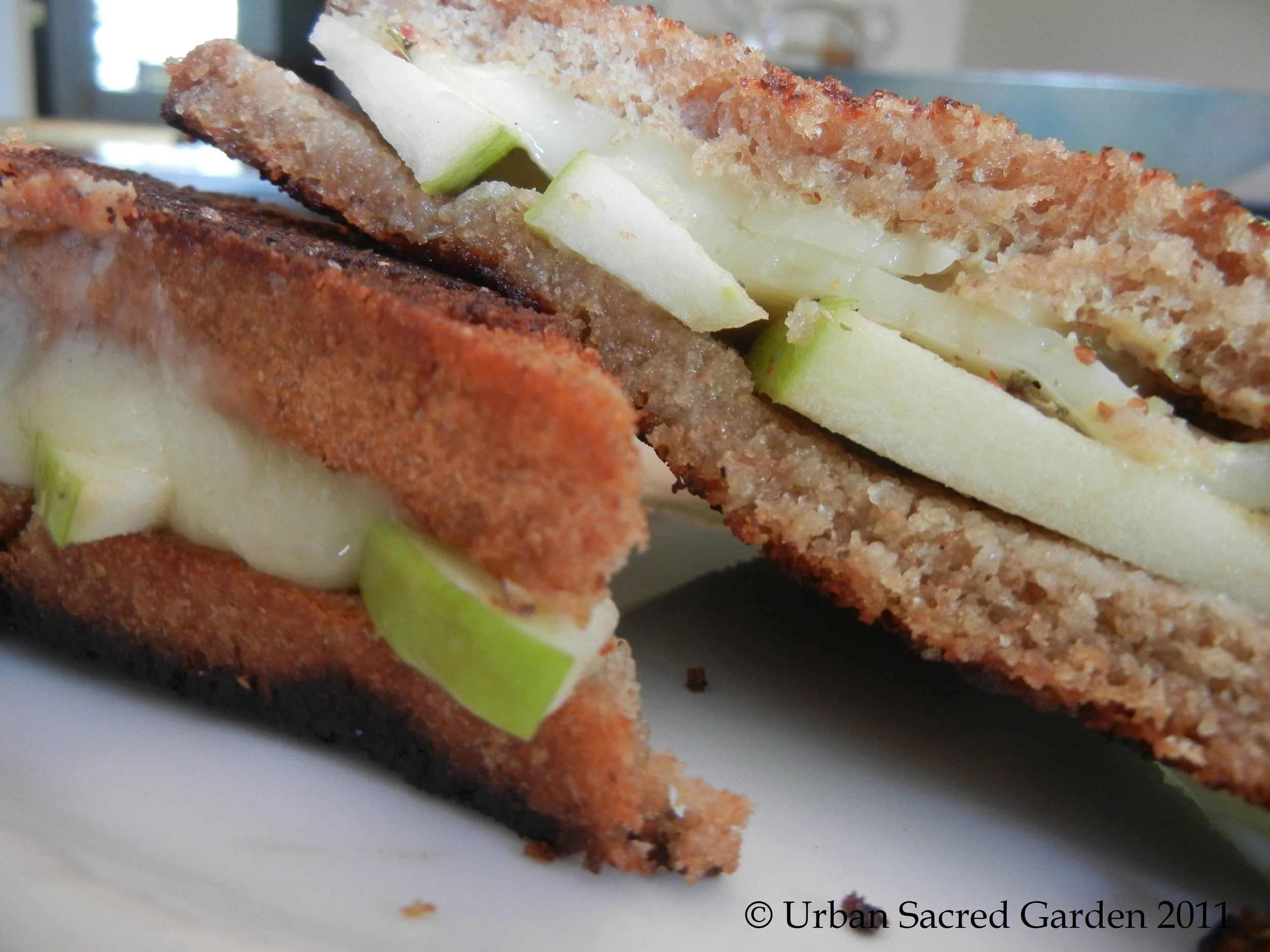 Havarti Green Apple Grilled Cheese