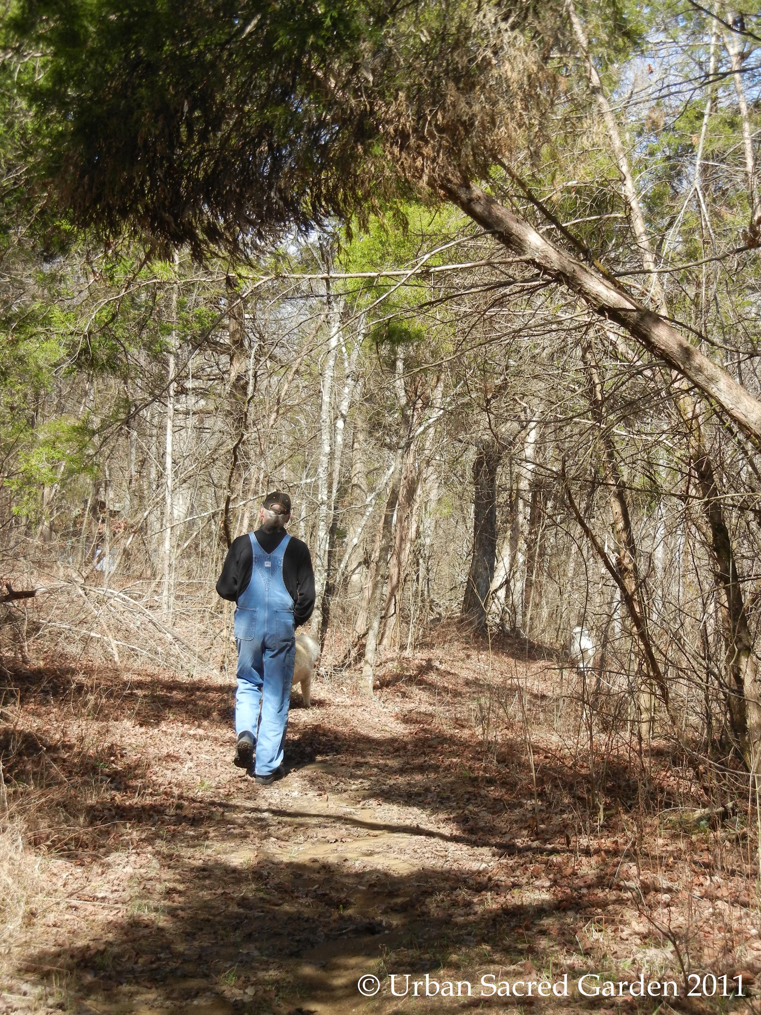 Gifts From My Father