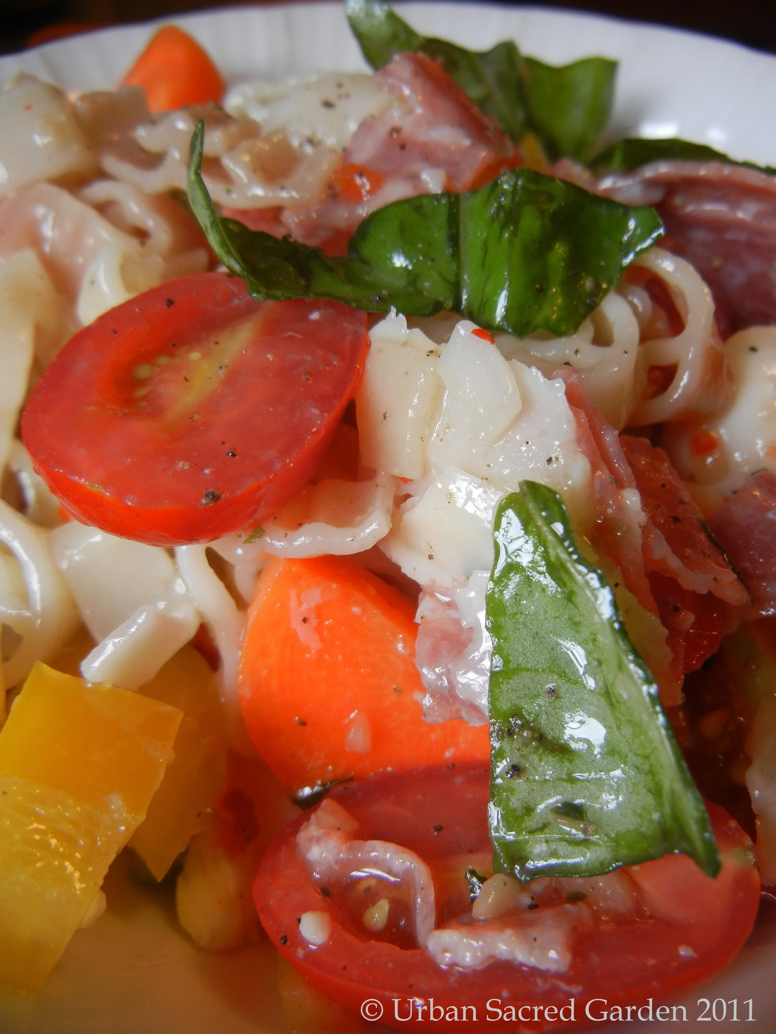 Italian Antipasti Pasta Salad