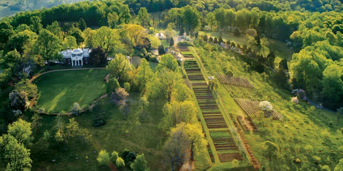 July 4th - On the Pulse of Morning