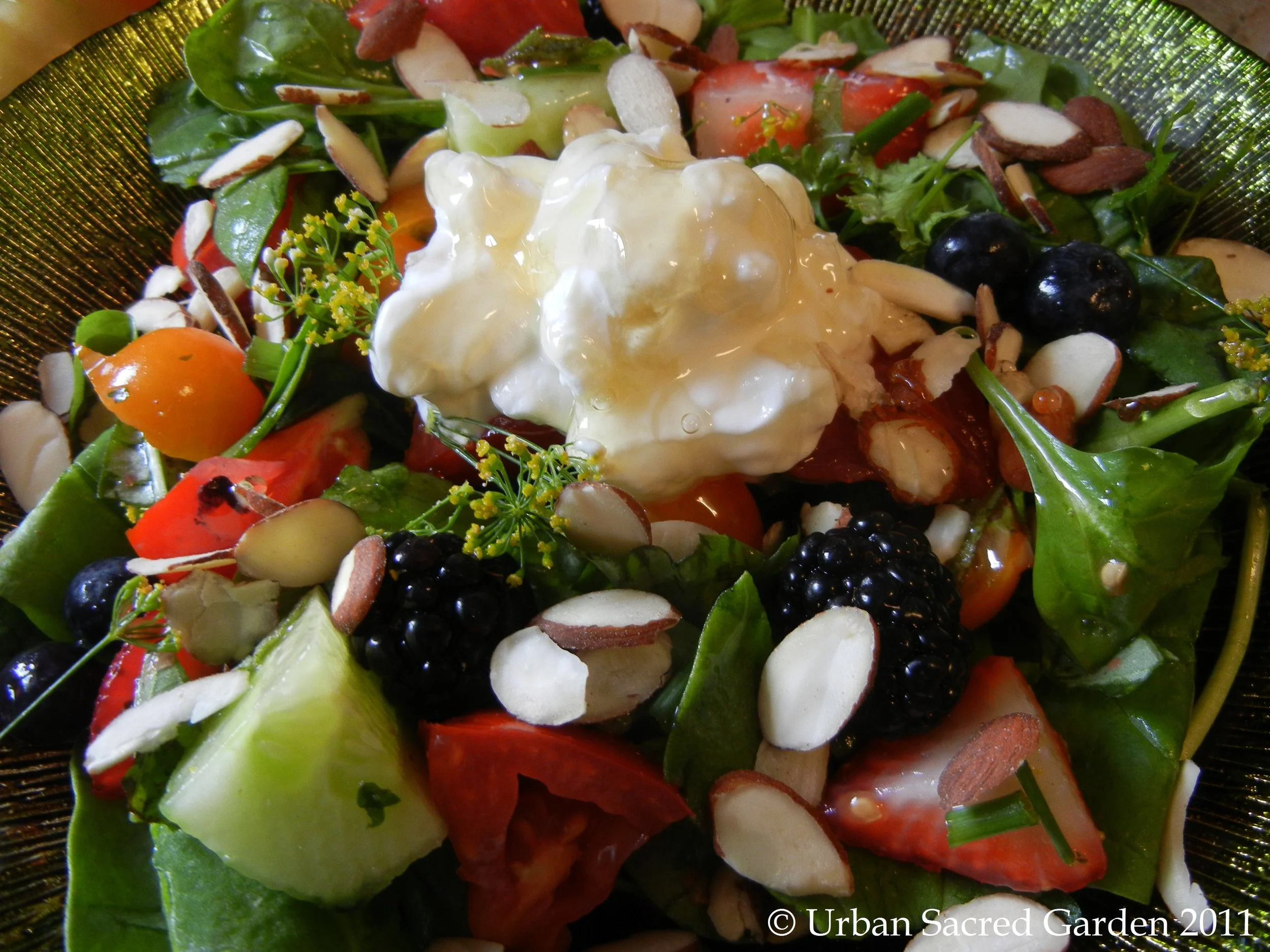 Fresh Herb and Berry Salad (ME)