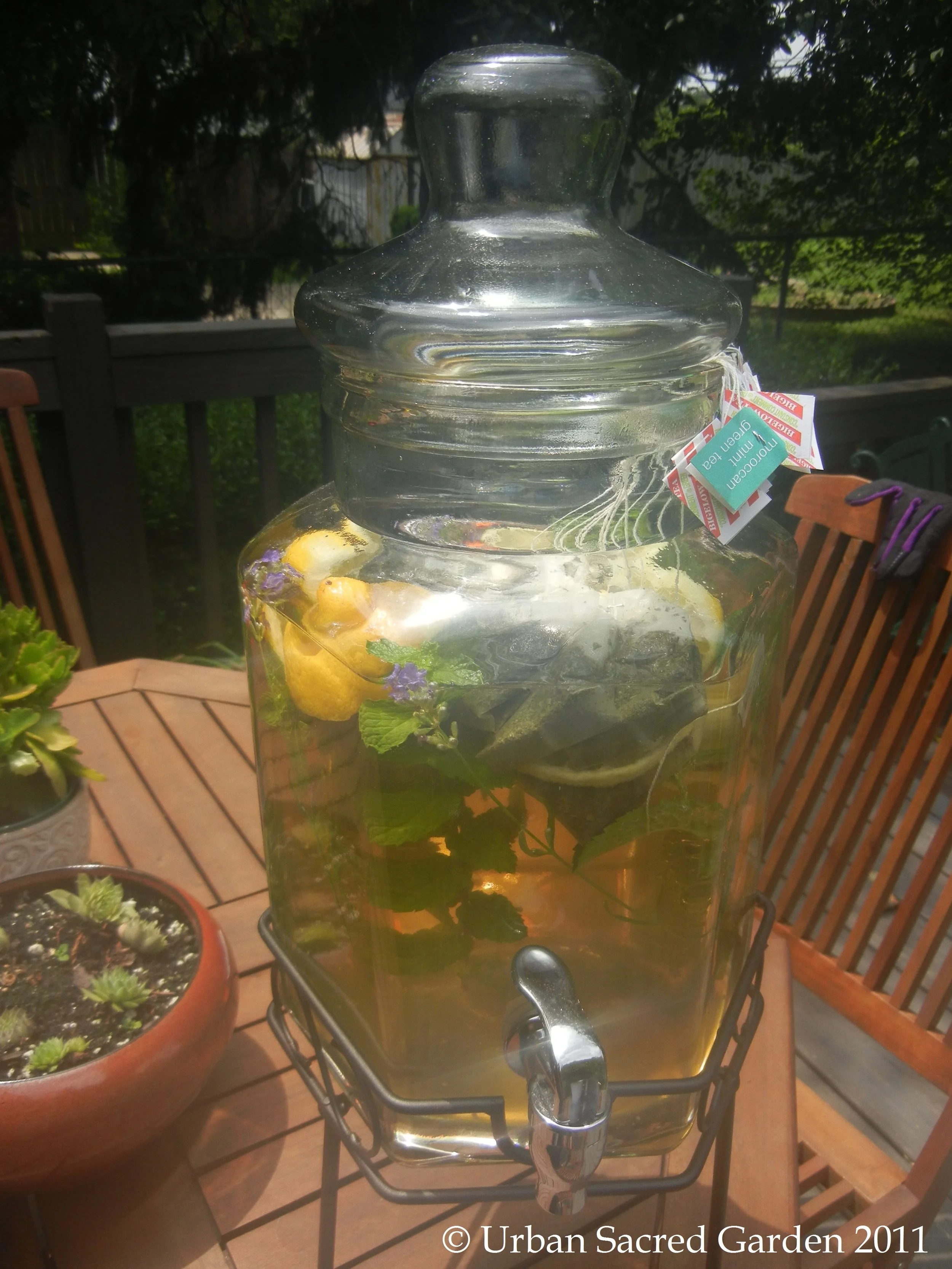 Lavender Mint Sun Tea (ME)