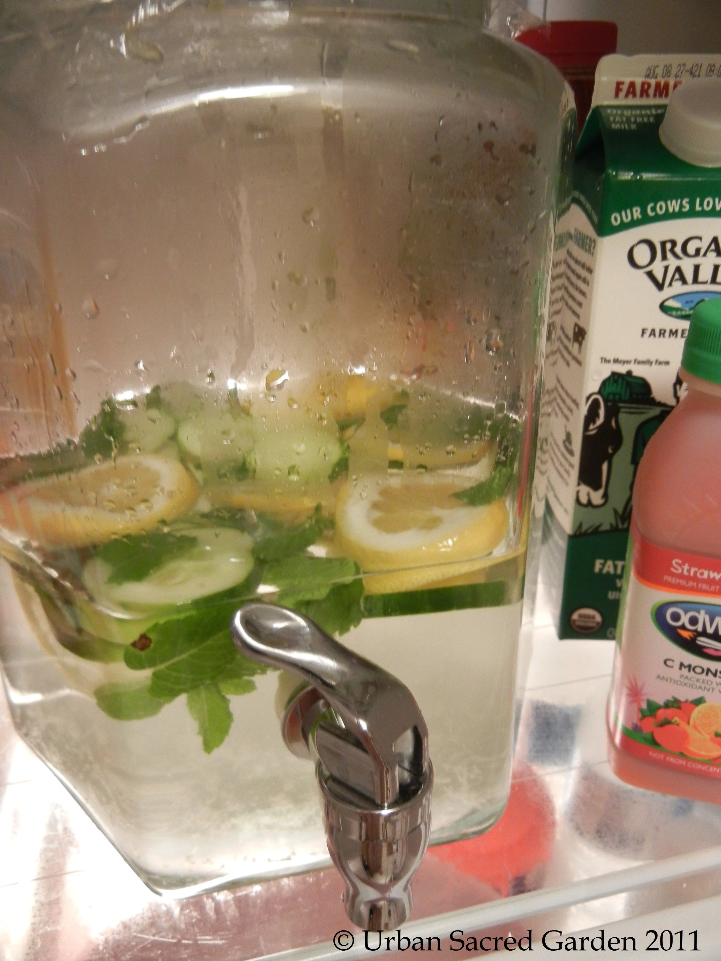 Spa Water (for Less Belly Fat?)