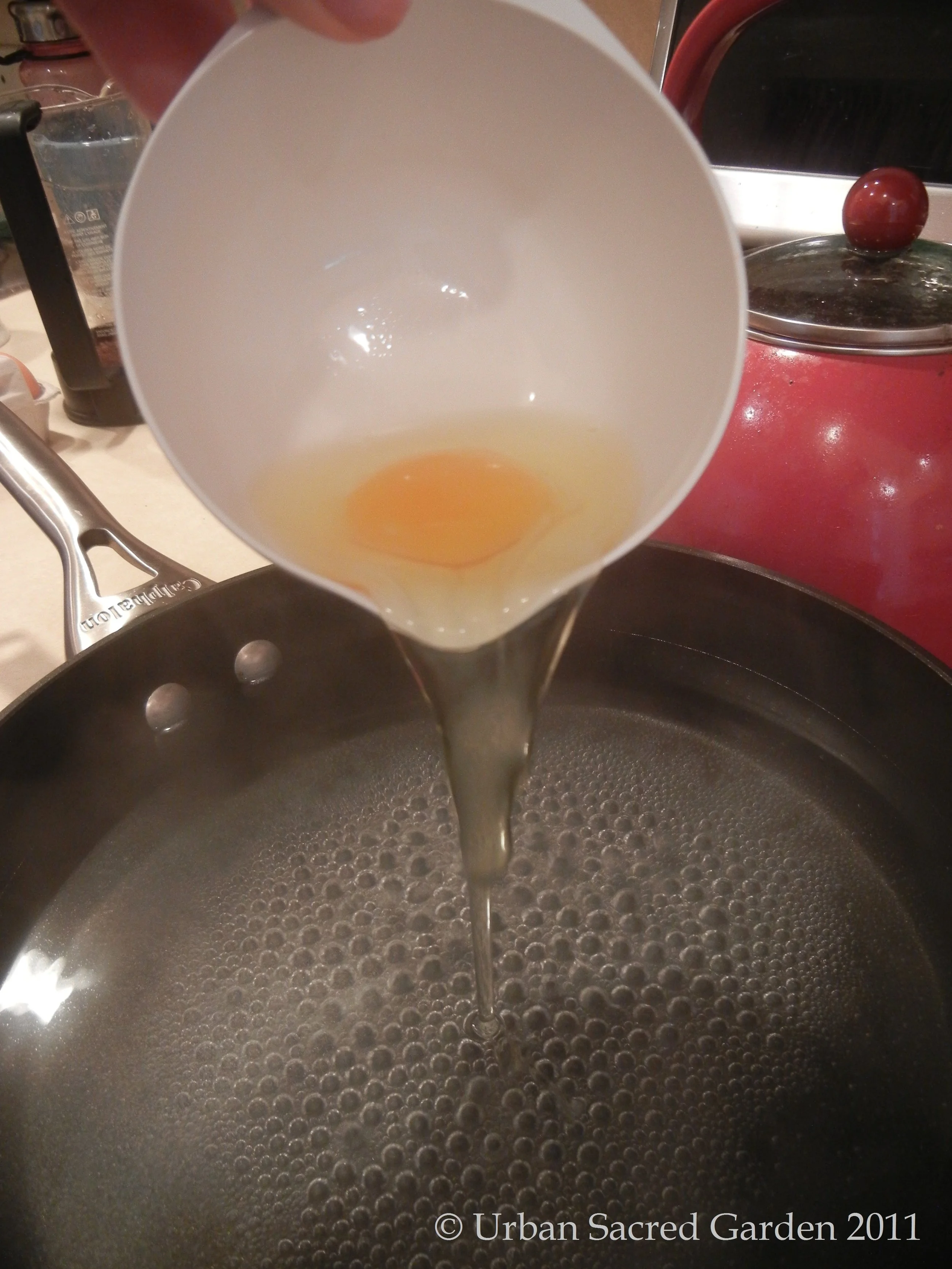 Perfect Poached Eggs
