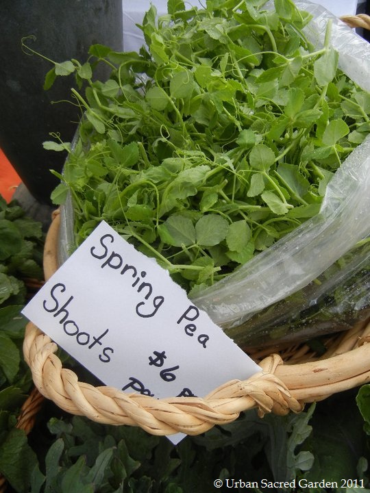 Produce Refrigeration Basics