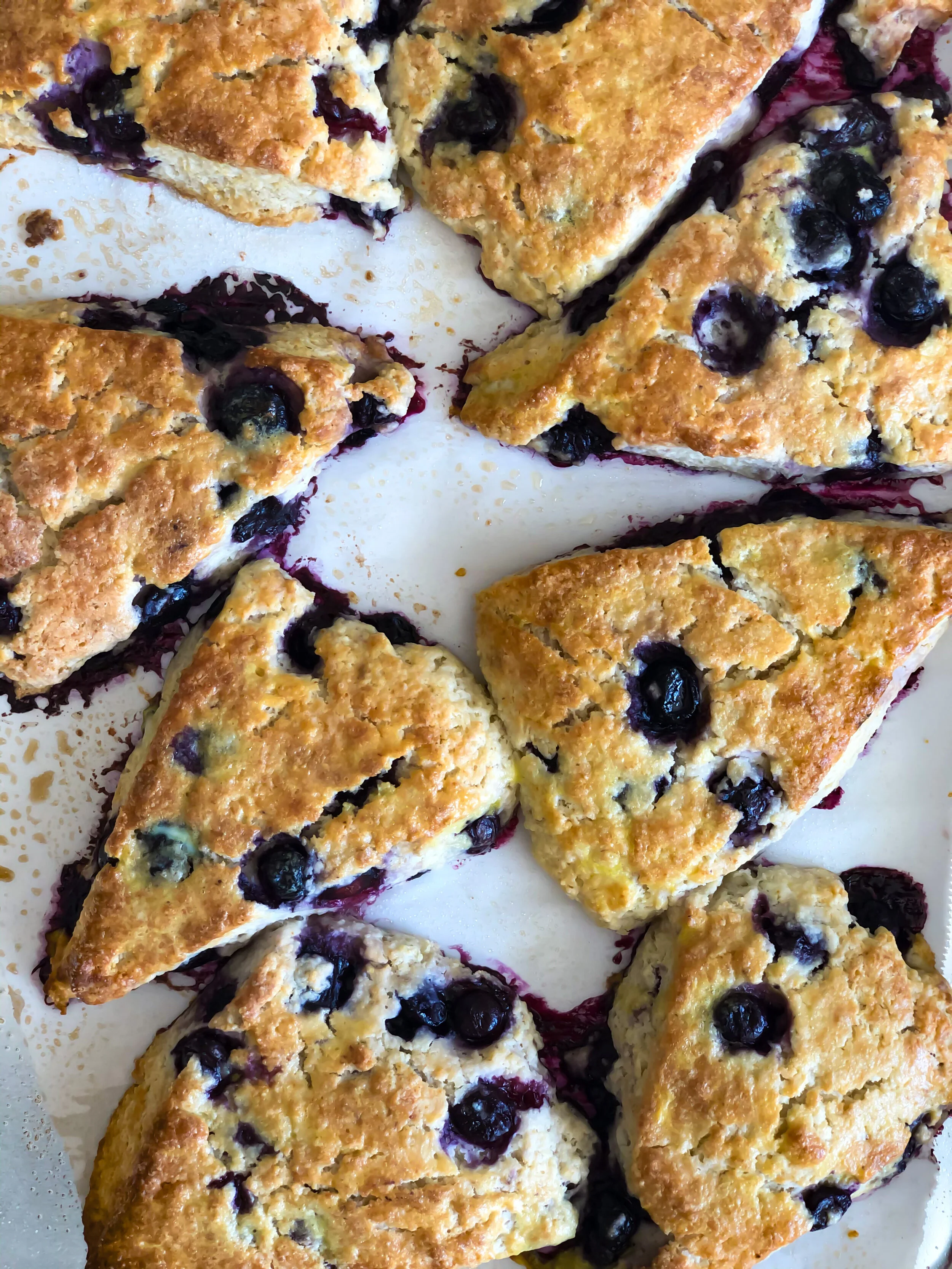 Blueberry Lemon Poppy Seed Cast Iron Skillet Cake (Gluten Free)
