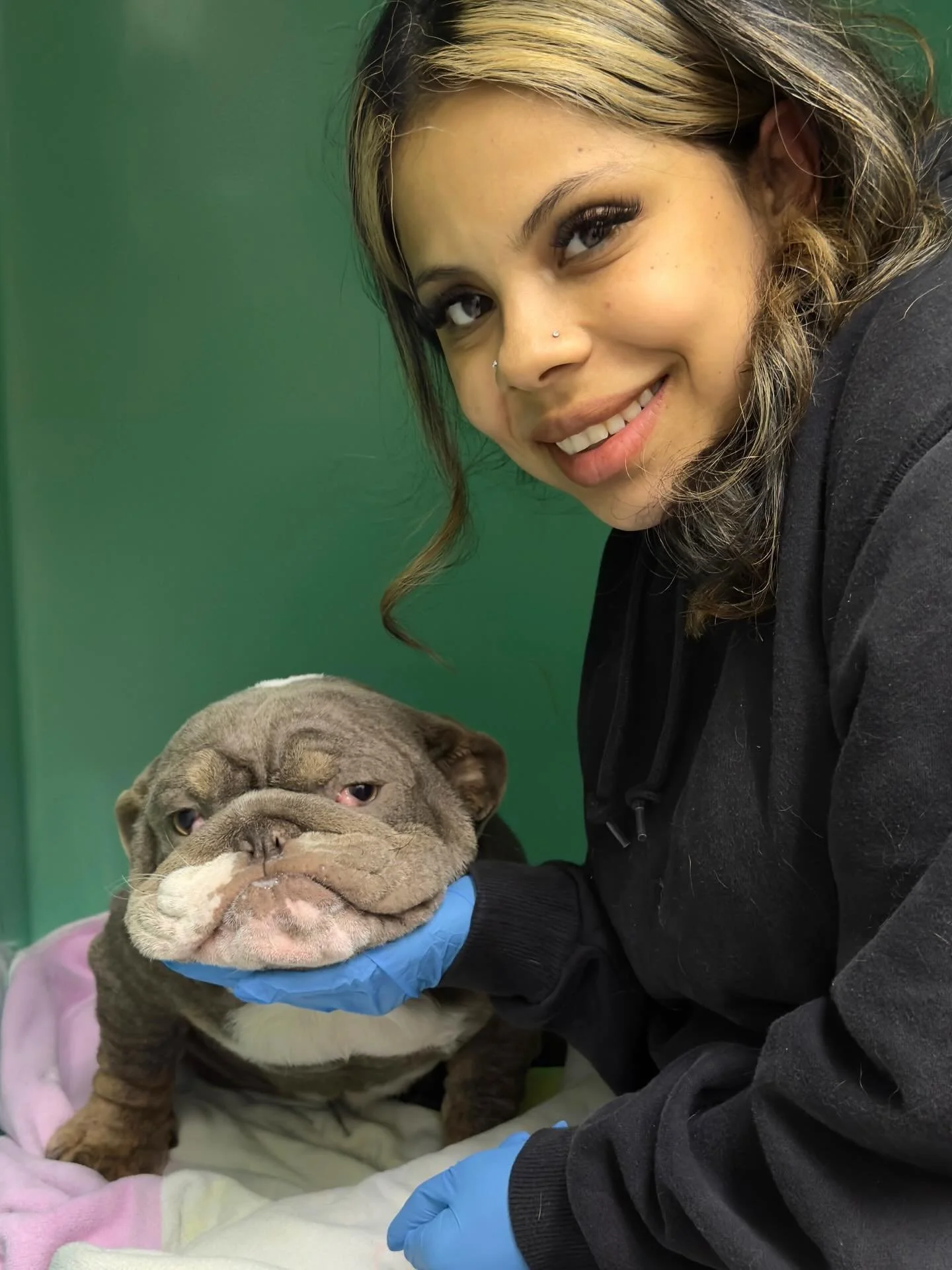 UPDATE: THROWN AWAY BULLY. So this kid is still at the vet. Found dumped in a basket in the park, this poor special needs pup was found in terrible shape, and appears to be a defective &ldquo;product&rdquo; of backyard breeding. This boy is about eig