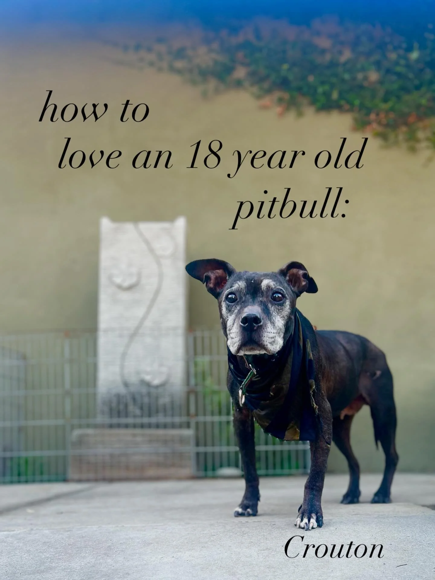THANK THEM for staying by you these many, never-boring years - noting the JOY + MAGIC they brought &amp; bring.

REMIND THEM how strong, and important they are to you&hellip;and how they kept you living IN the moment. 

TELL THEM ALOUD, again, the st