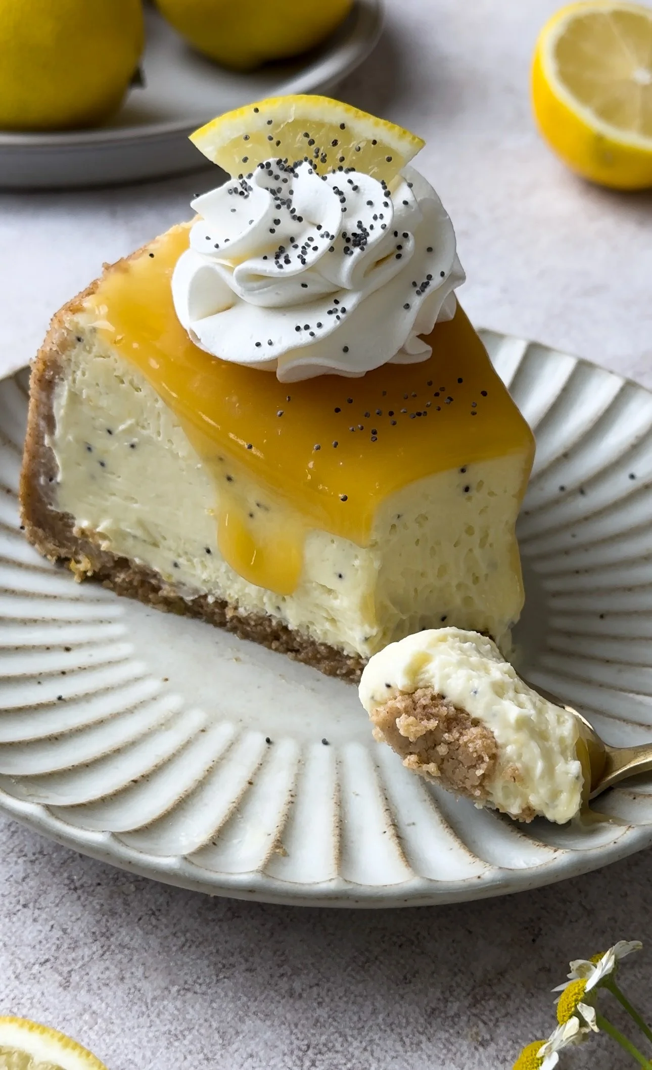 Lemon Poppyseed Cheesecake 