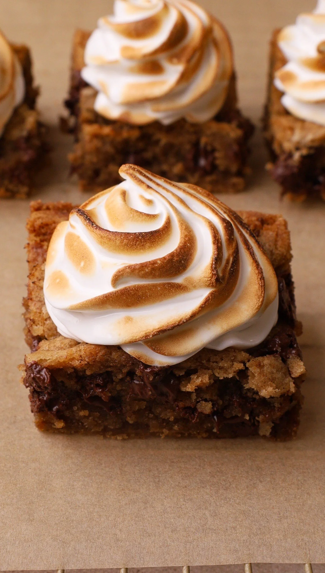 Smores Gingerbread Cookie Bars